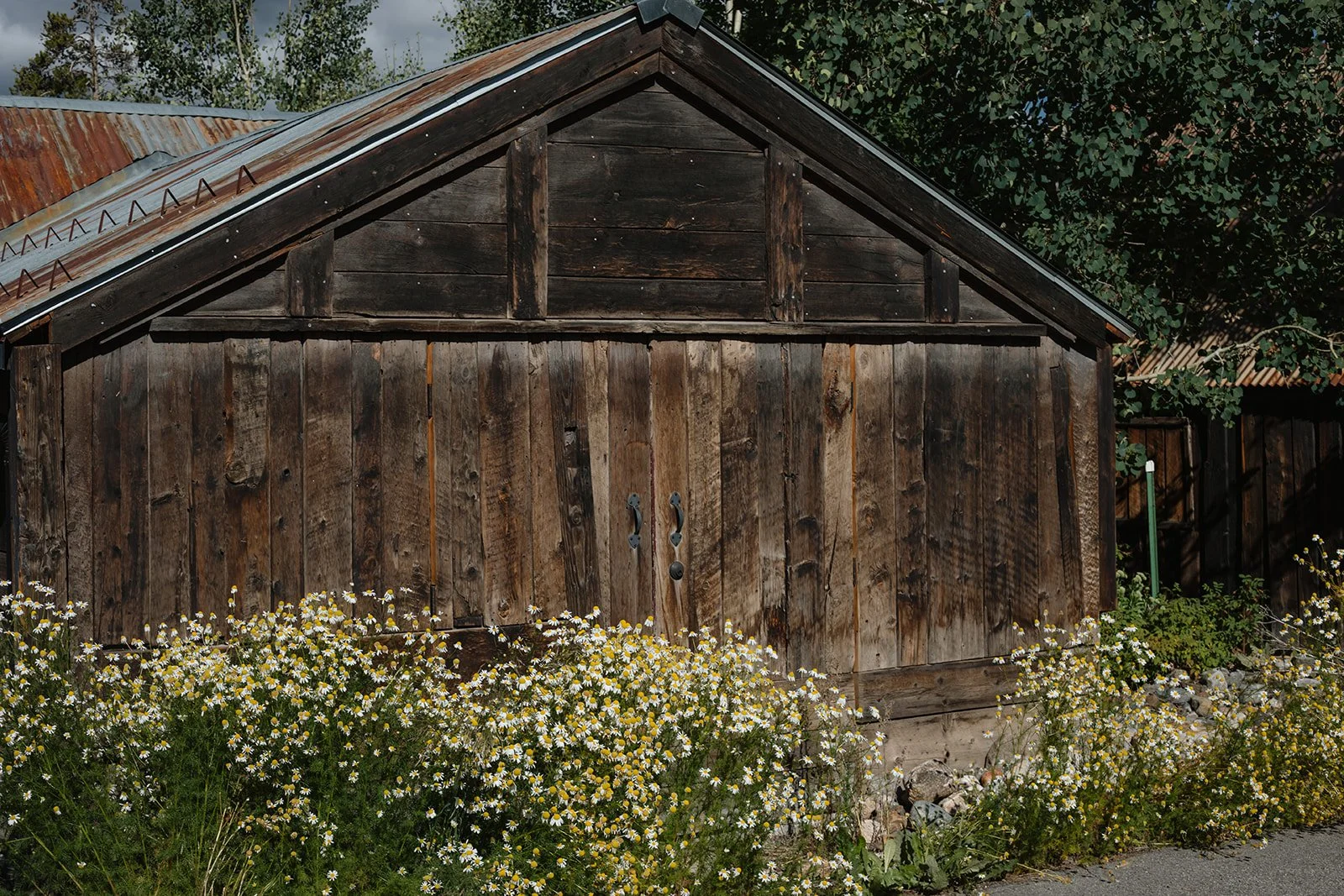 K&M Breck-118.jpg