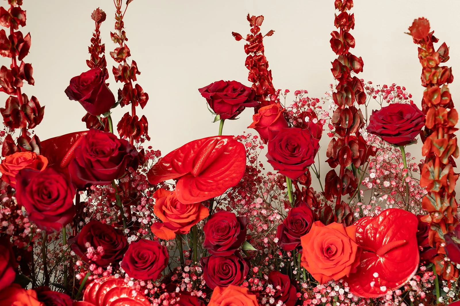 Little Red Sneak-12.jpg