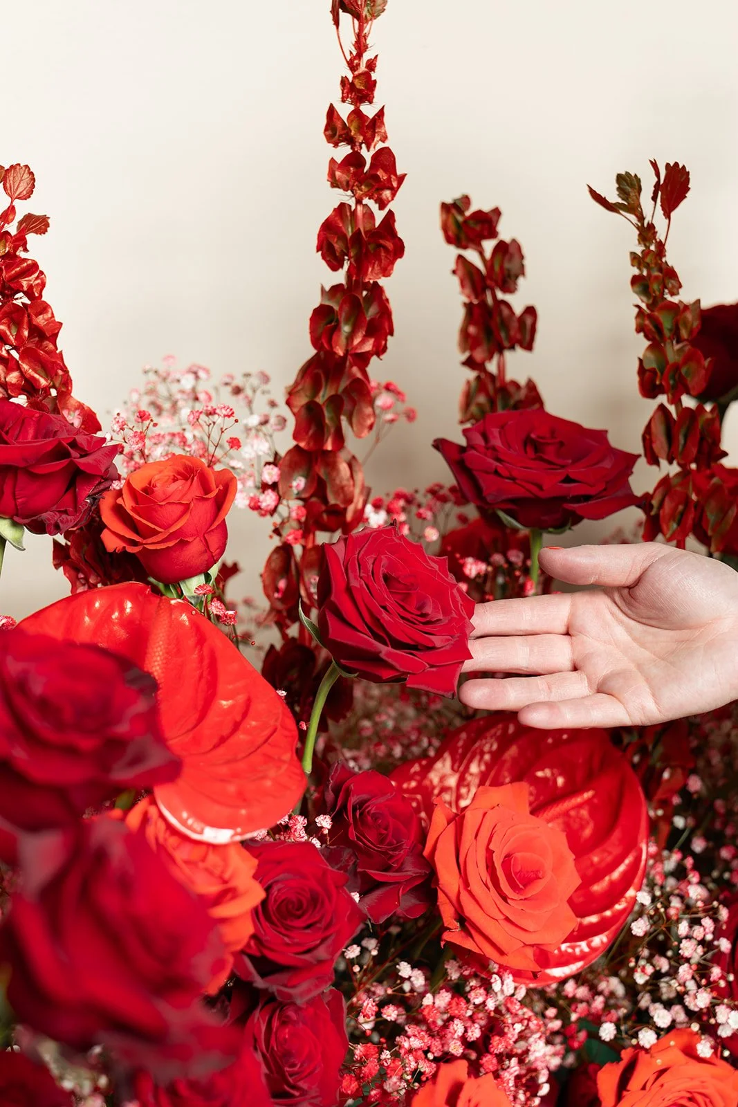 Little Red Sneak-1.jpg