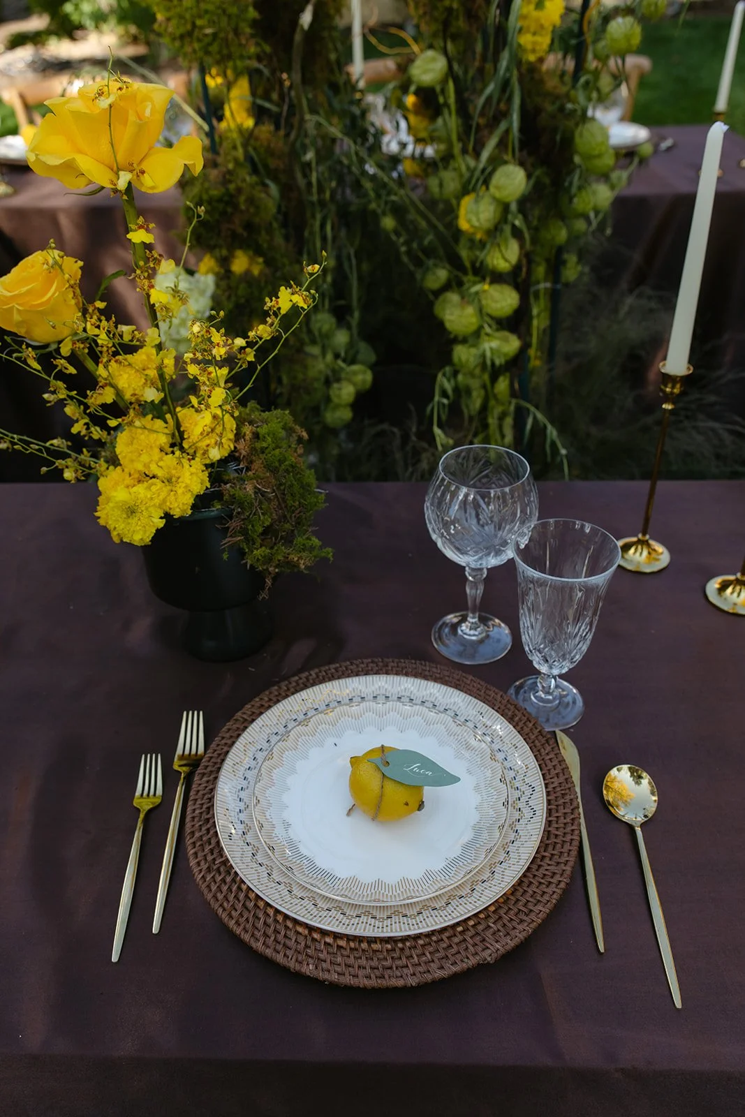 Oceana_s Gardens October-94.jpg