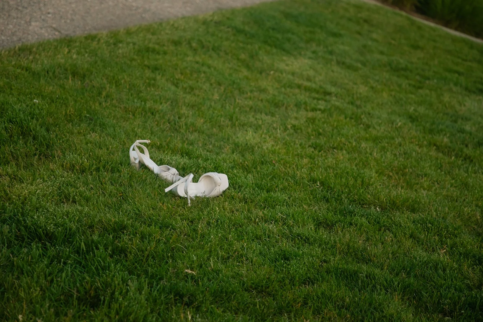 Tim + Sarah Botanic-111.jpg