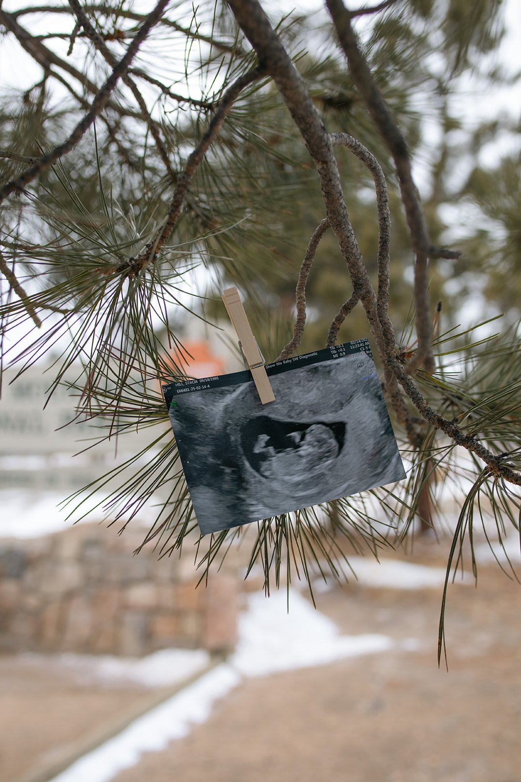 S+A Announcement-46.jpg