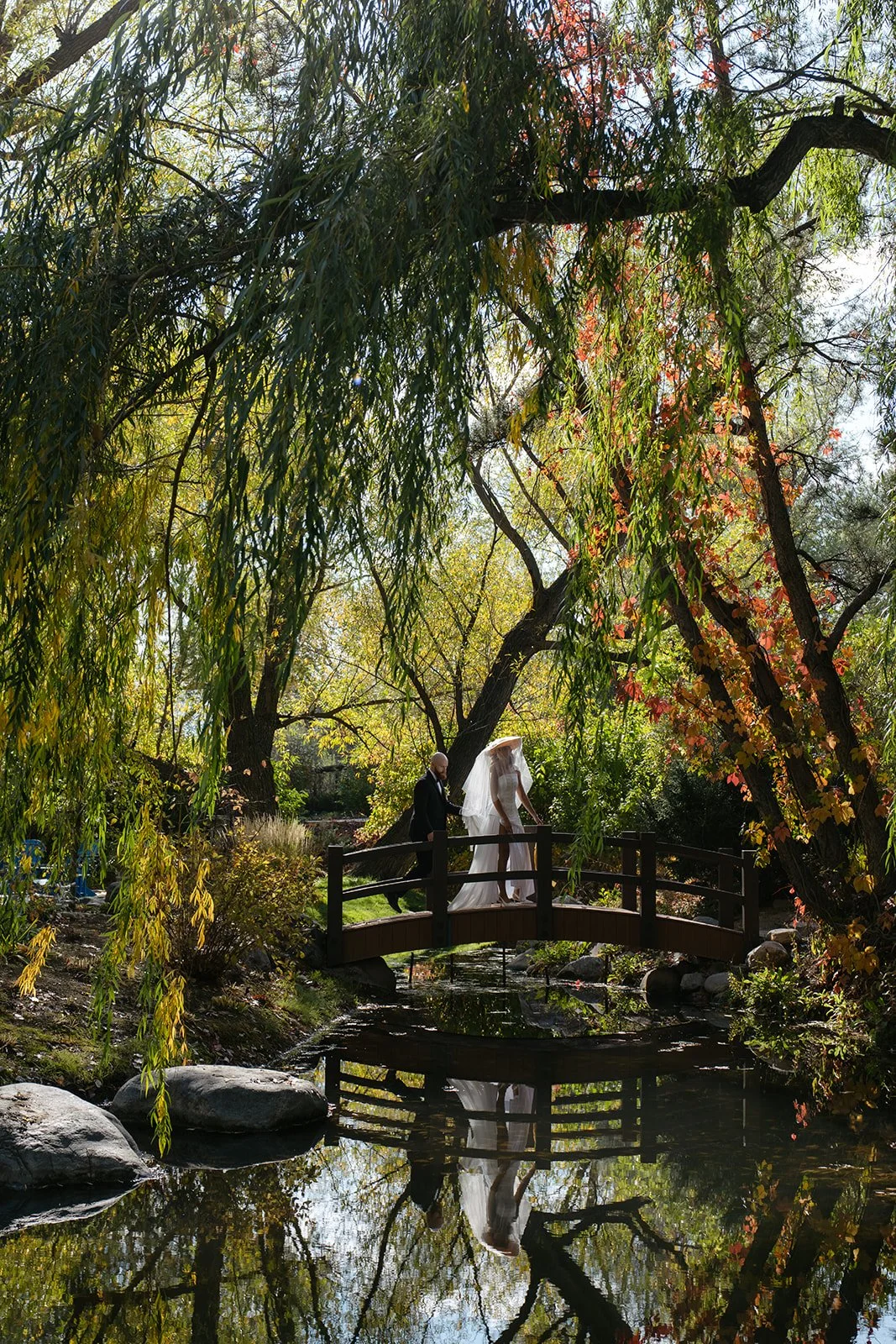 Oceana_s Gardens October-91.jpg