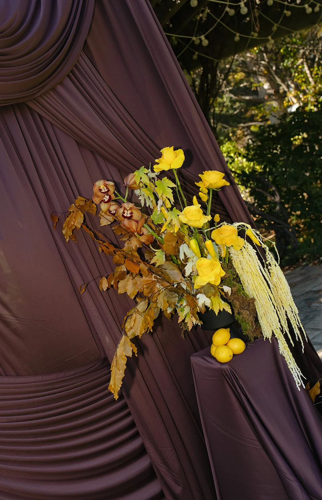 Oceana_s Gardens October-117.jpg