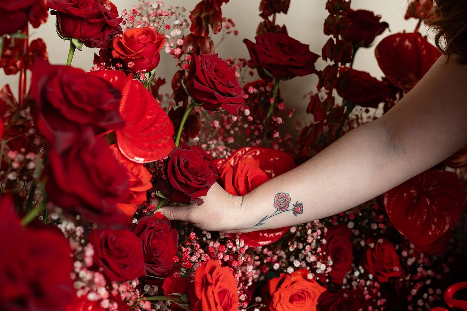 Little Red Sneak-5.jpg