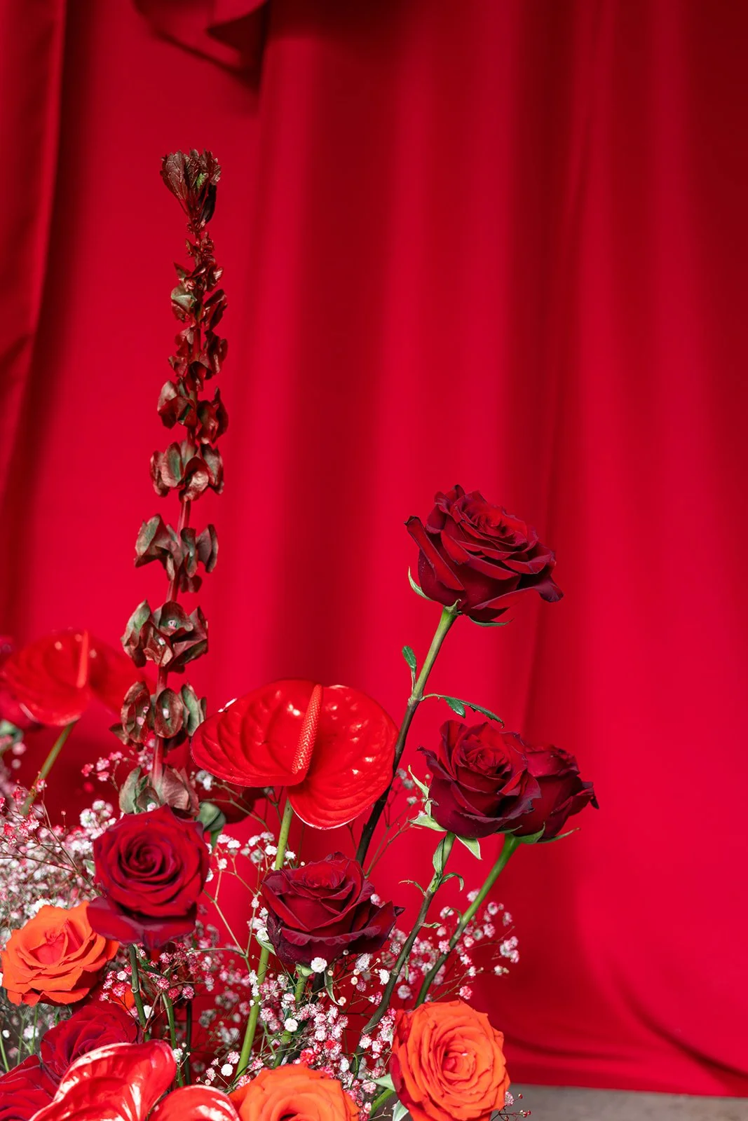 Little Red Sneak-30.jpg