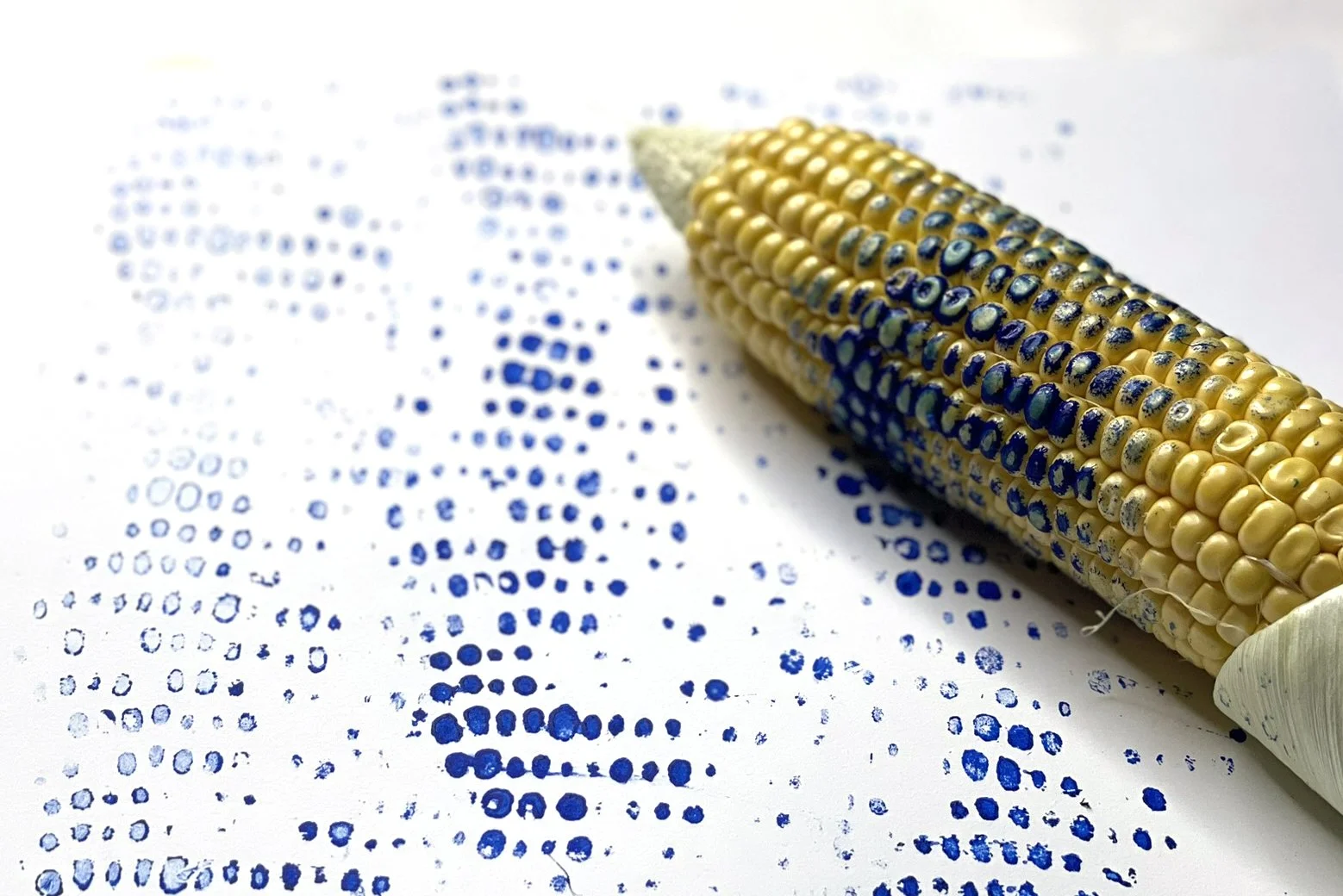 Prova på gelli plate - grönsaker och växter 24 januari