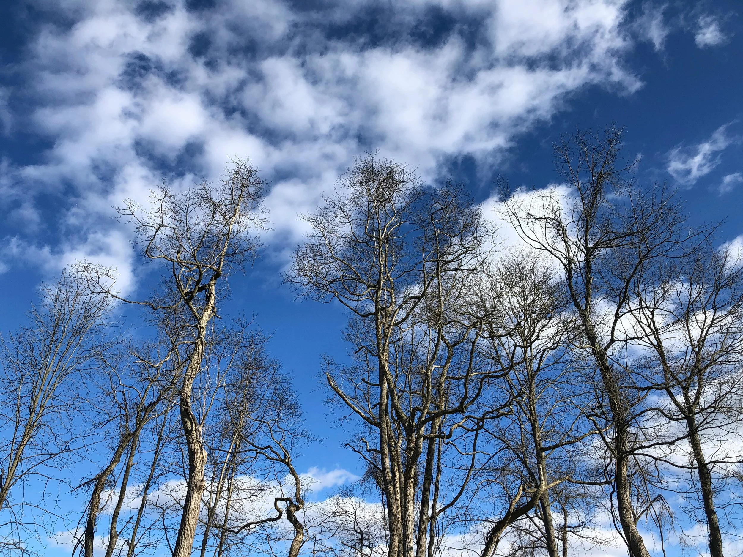 5 Minutes on Caring and Caretaking in Leadership
