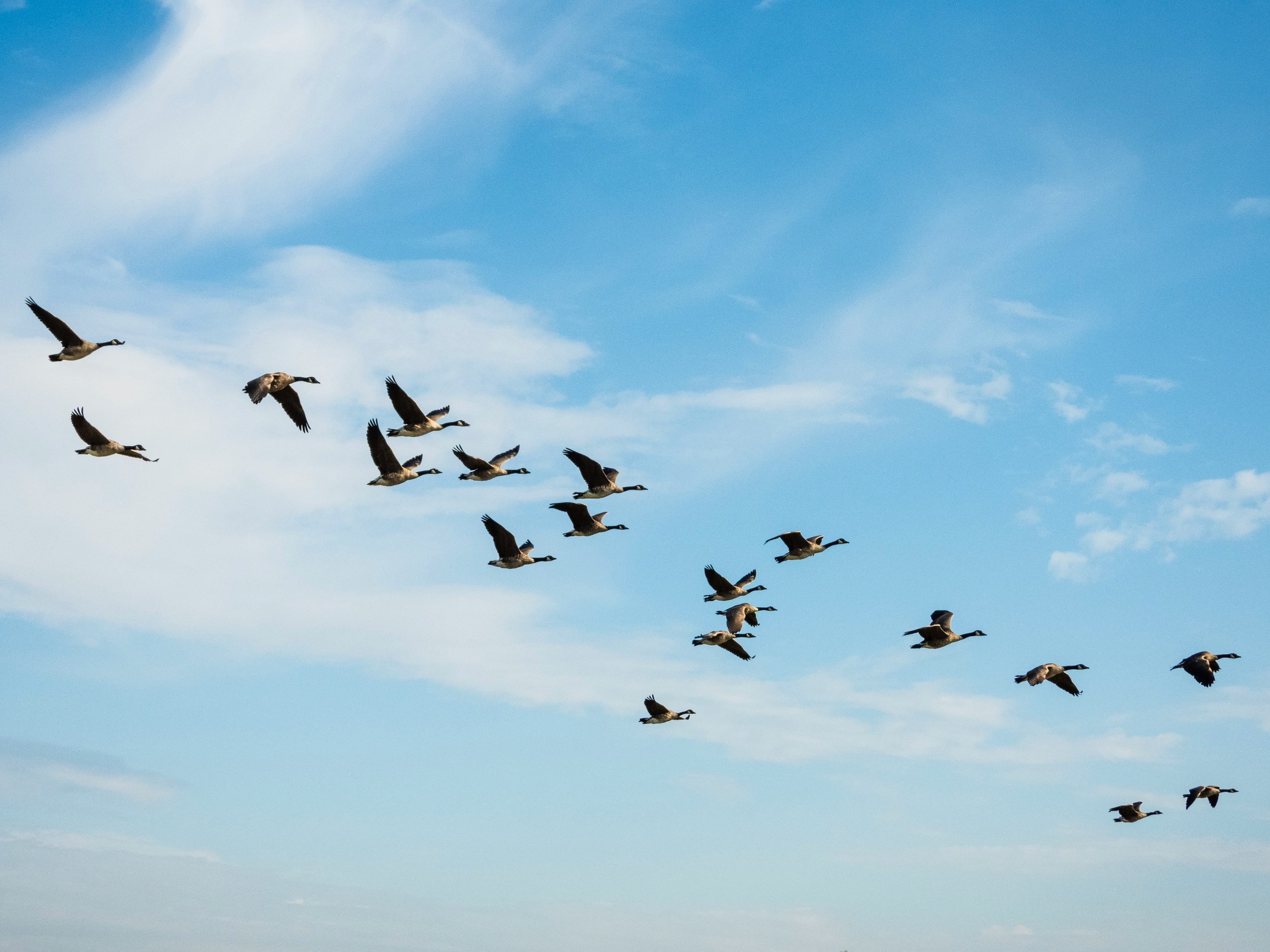 5 Minutes on Creating Belonging on Your Team