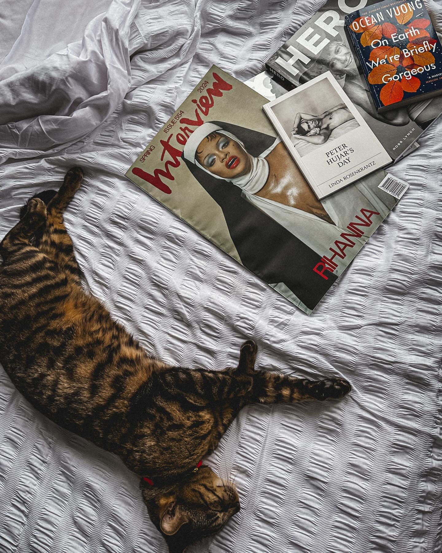 Little moments from life lately 

Celebrating the down time, the pauses in between, as well as success for friends ❤️

1. Cat, white sheets, books + magazine = happy boy
2. Art therapy - being a kid and doing process based meditative creative work he