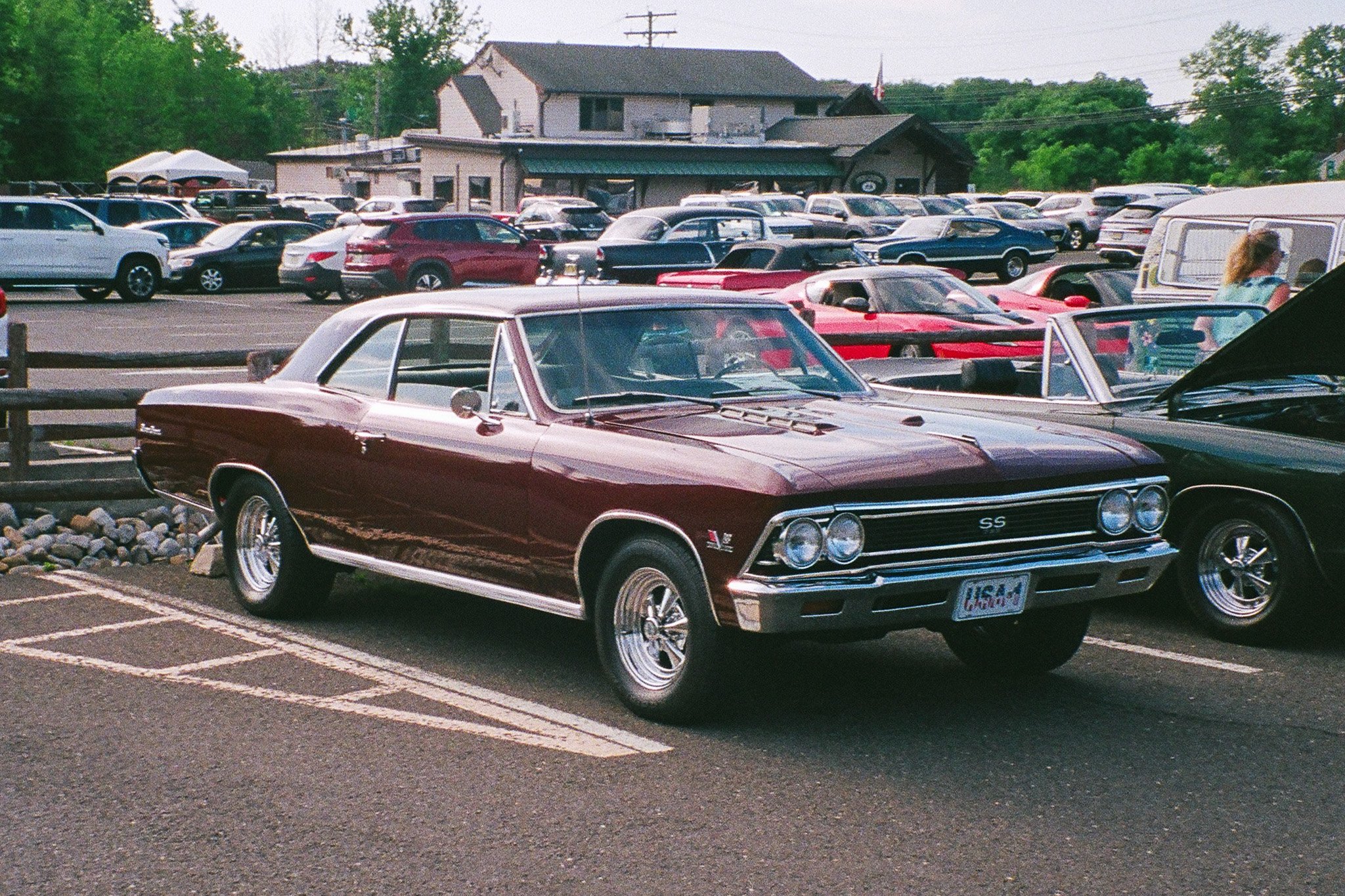 54580014-2.jpg