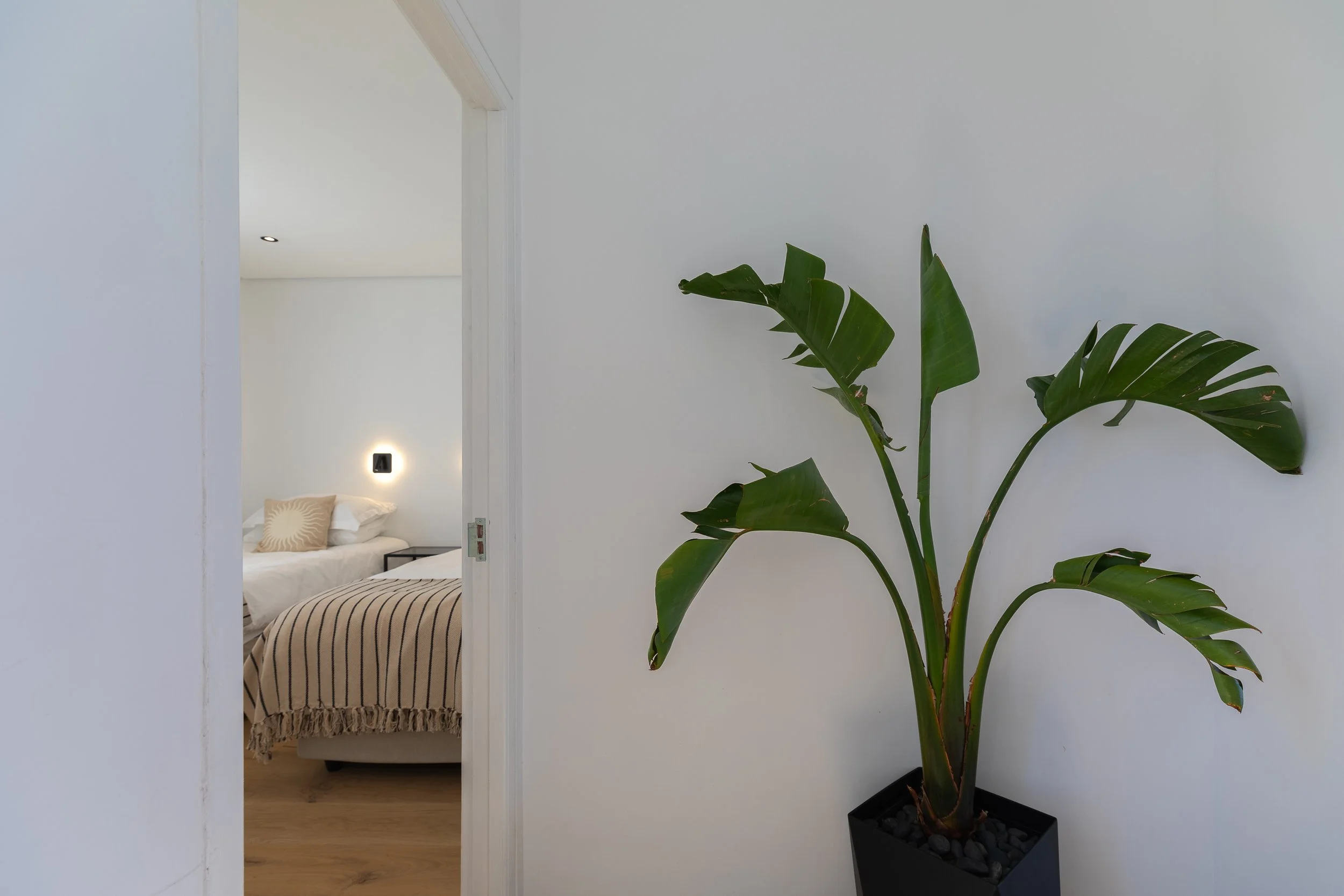 Lobby_Wild_Bannana_ABNB-1.jpg
