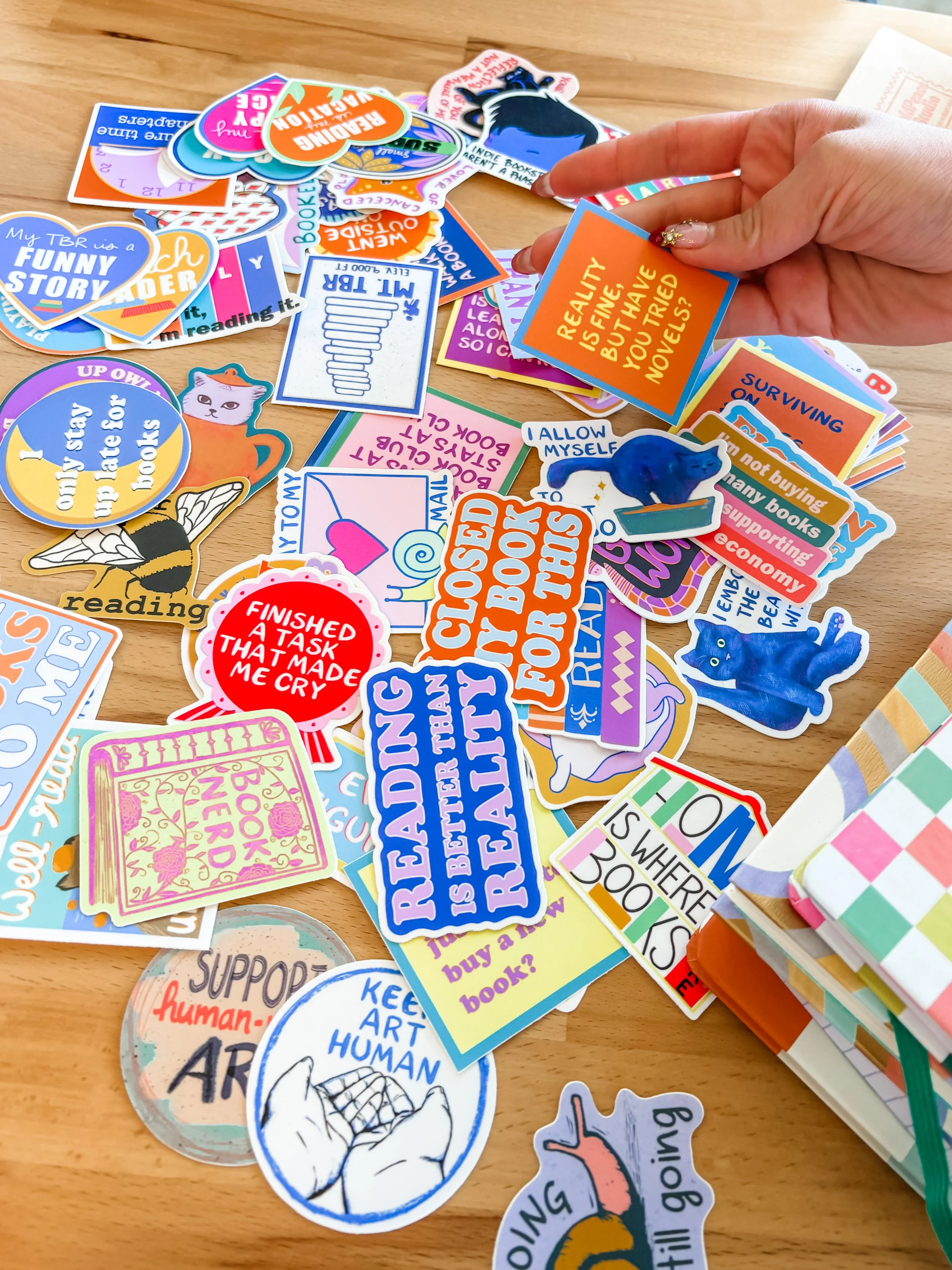 Photo Mar 12 2026, 1 56 08 PM.jpg