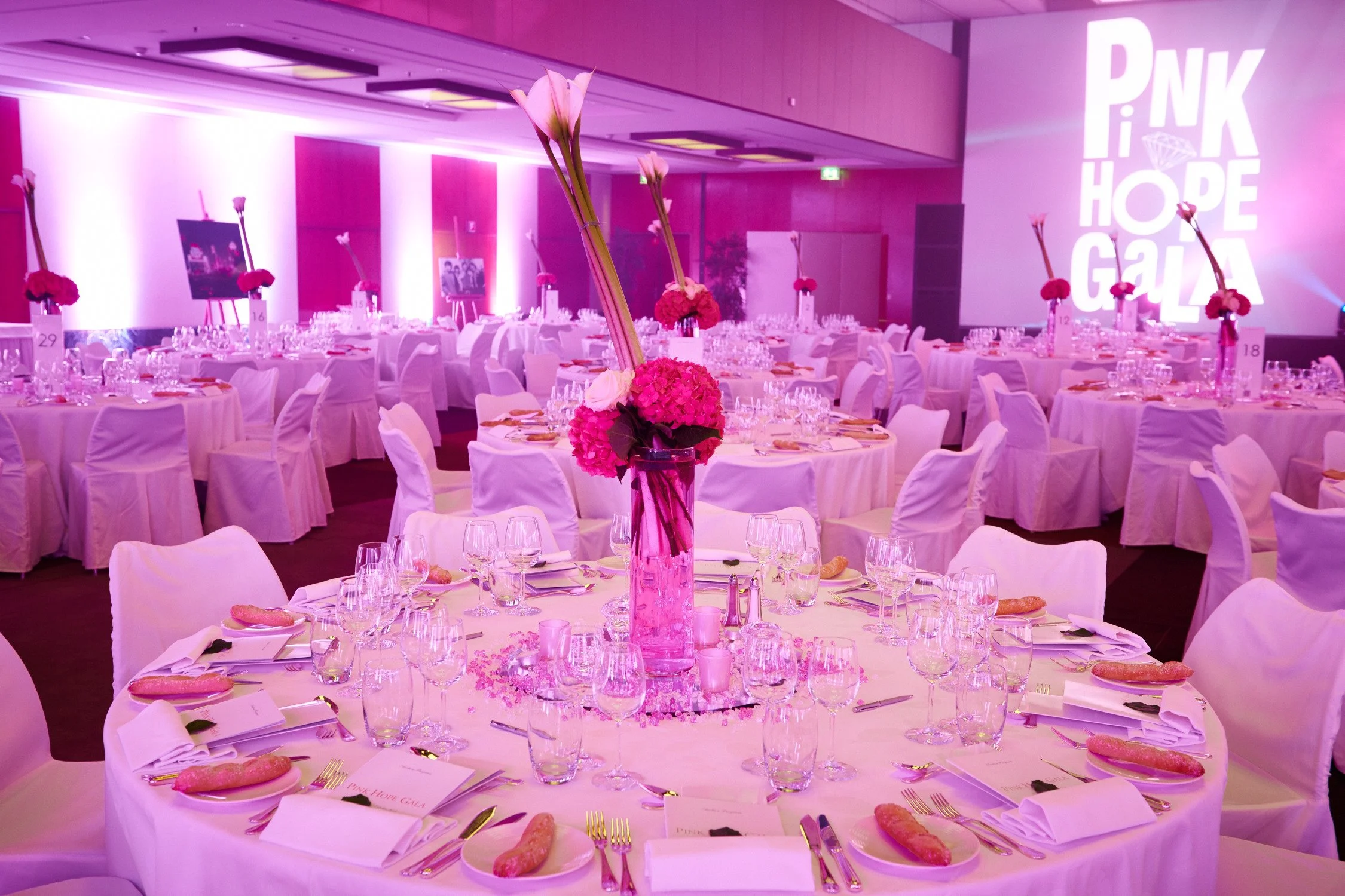 PINKGALA-003.jpg