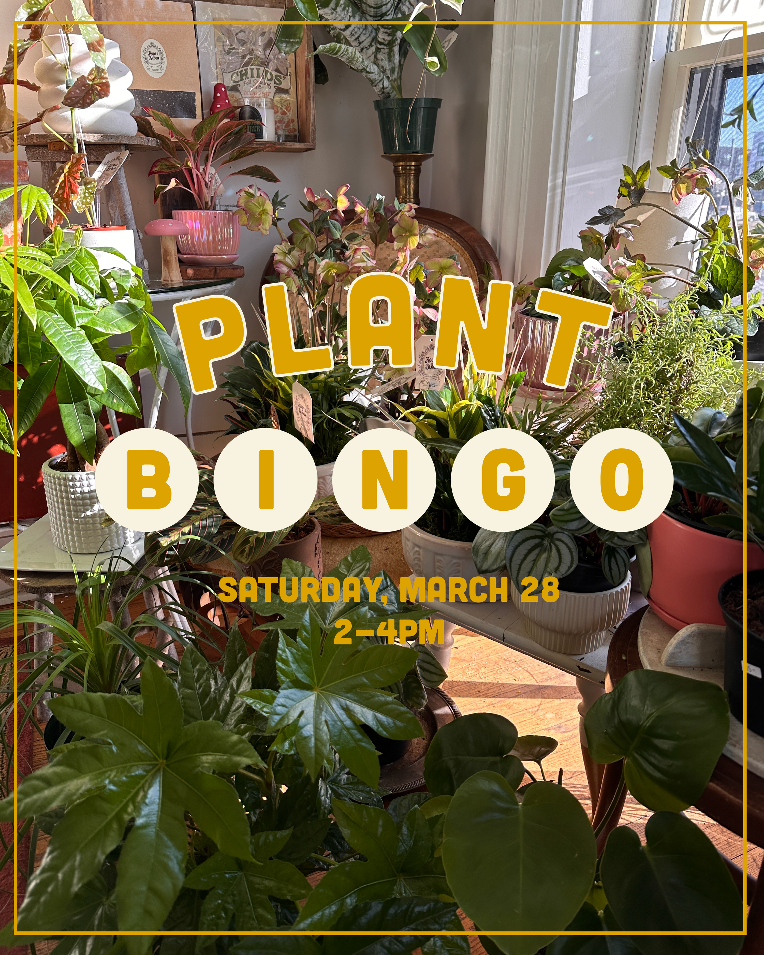 Plant Bingo Graphic.png