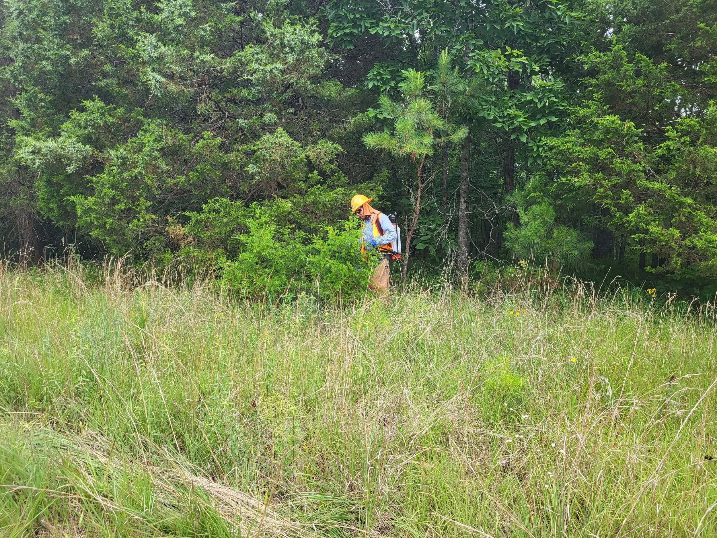 20230612_105837.jpg