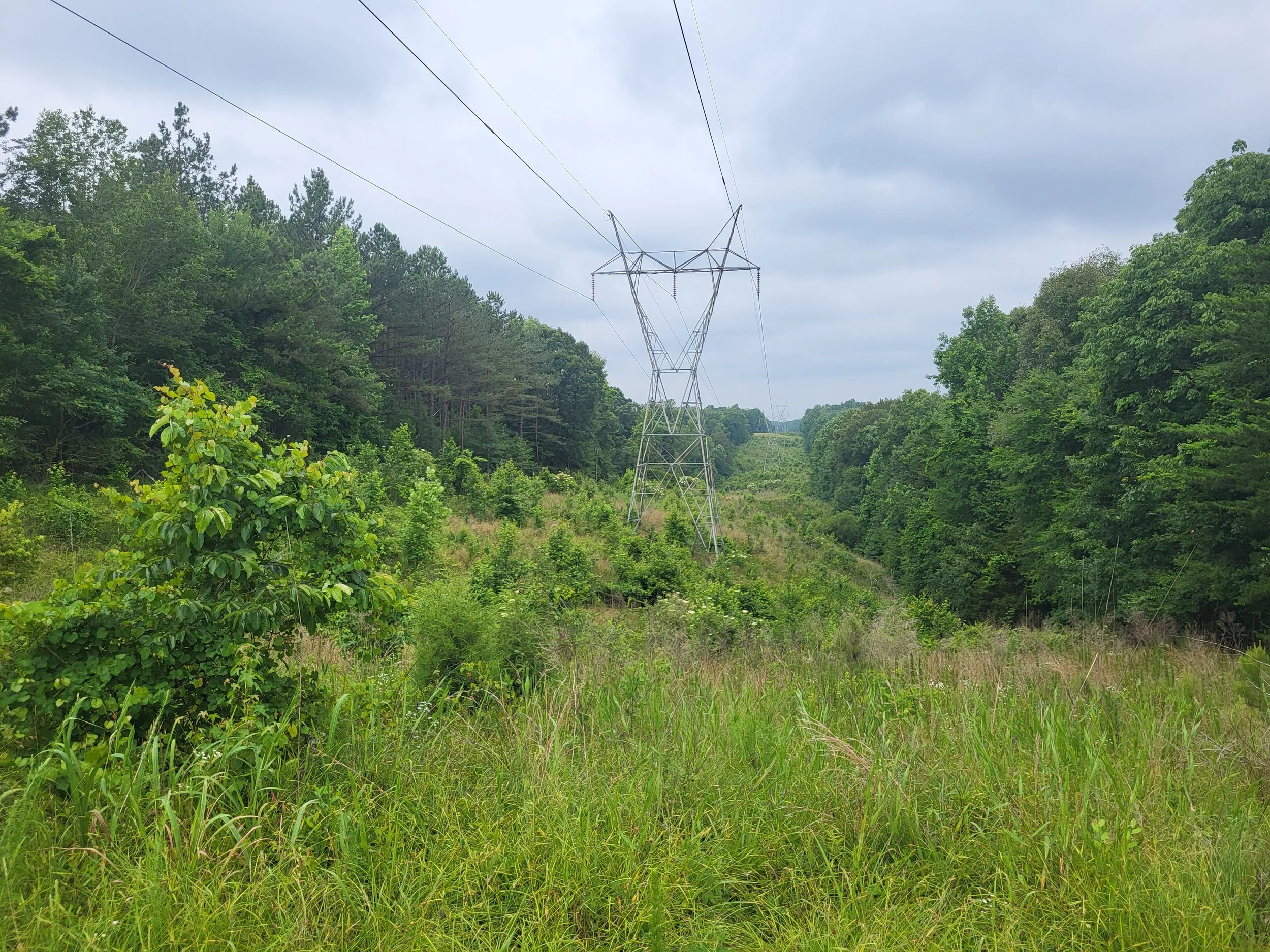 20230612_092251.jpg