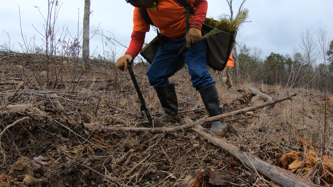 Screenshot 2024-04-04 111201.png