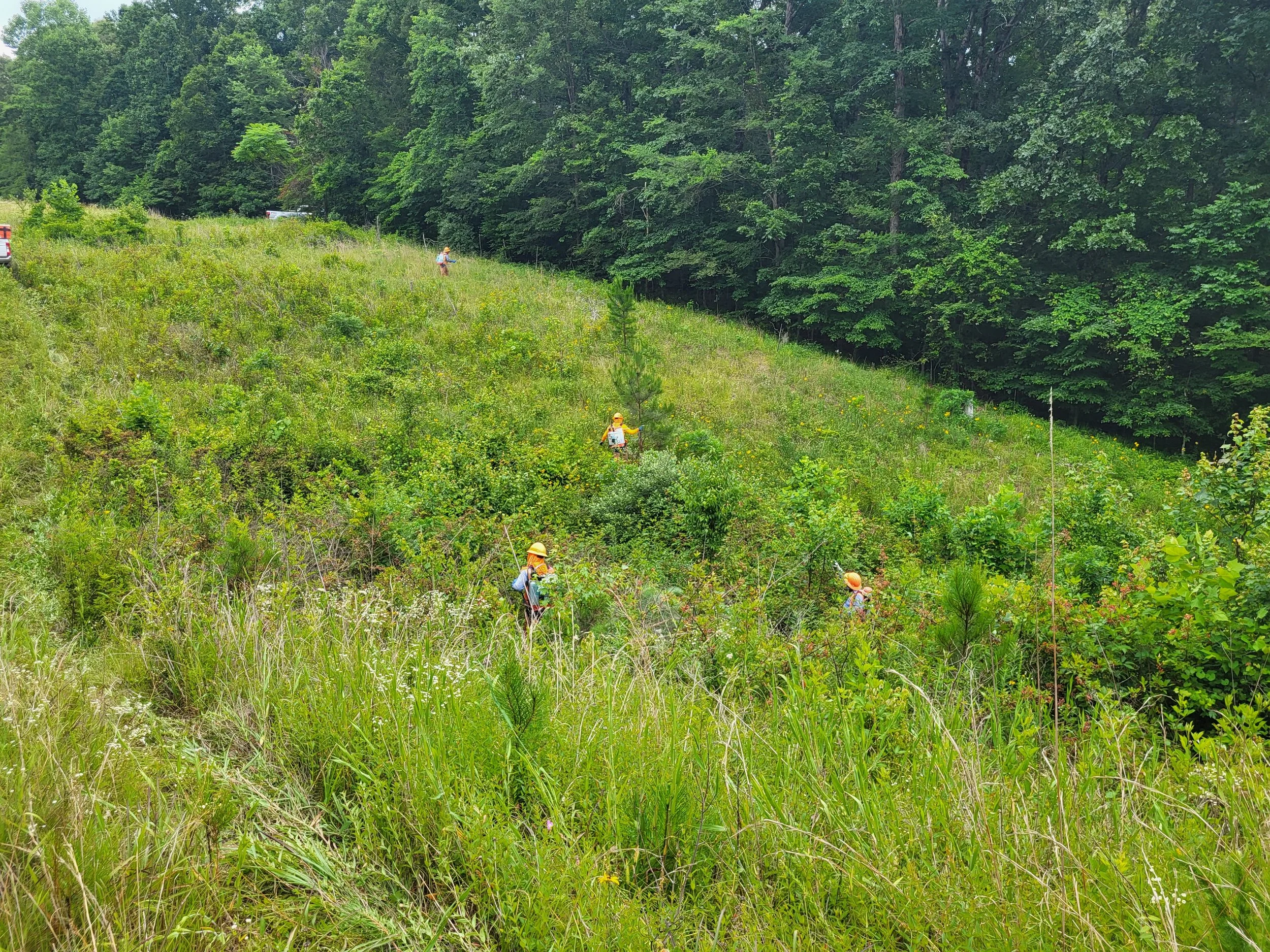 20230612_110659.jpg