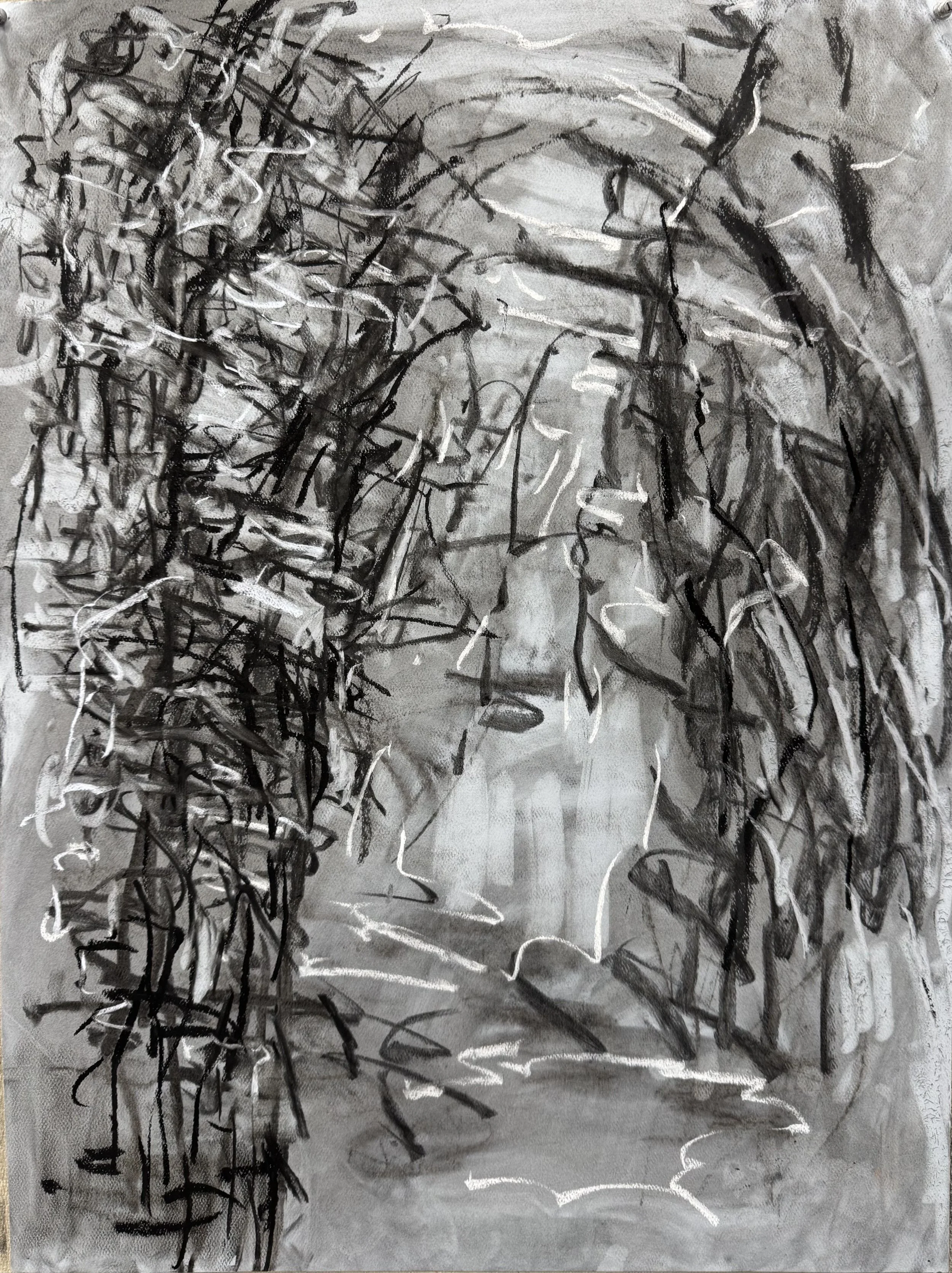 Charcoal and chalk 2026 24"x 18"