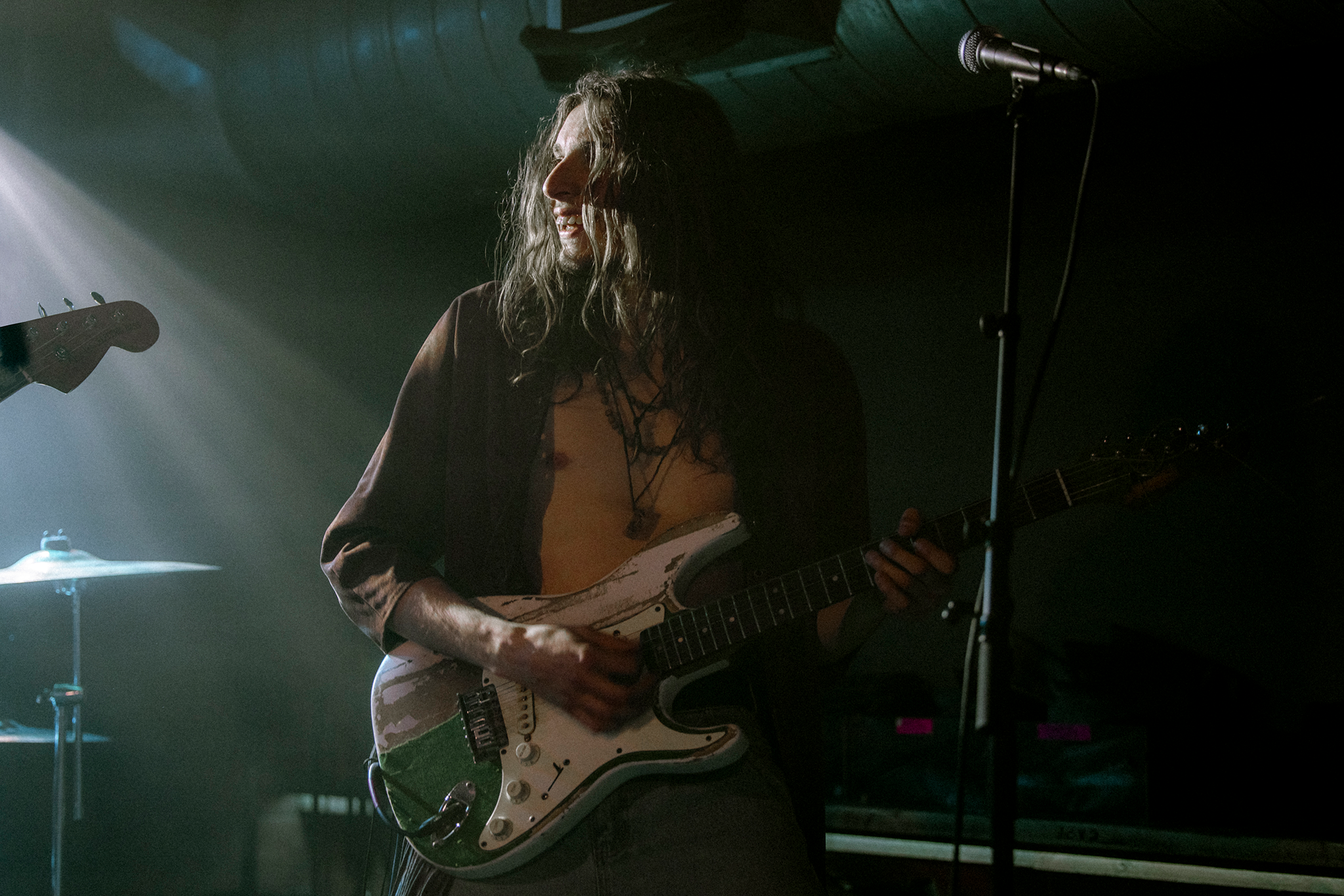 The Gulls- Mash House, Edinburgh.
