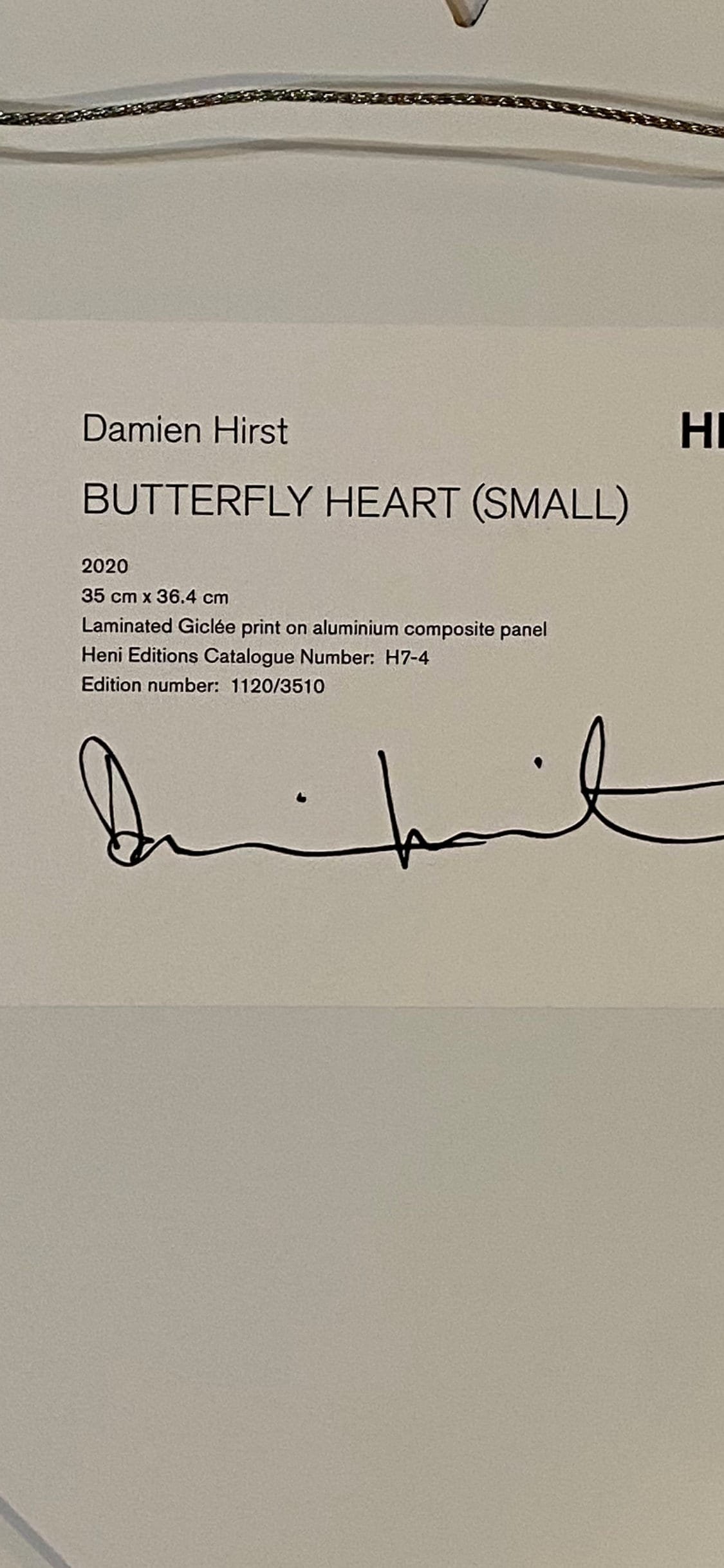 https://i.etsystatic.com/46441254/r/il/6e3d77/5288325463/il_fullxfull.5288325463_h3qr.jpg