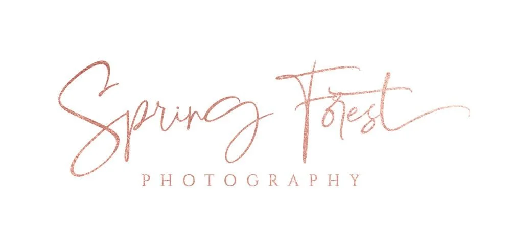 Spring Forest Photography
