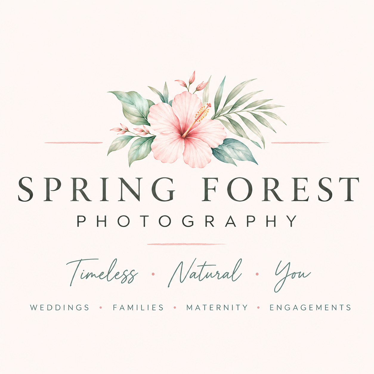 Spring Forest Photography