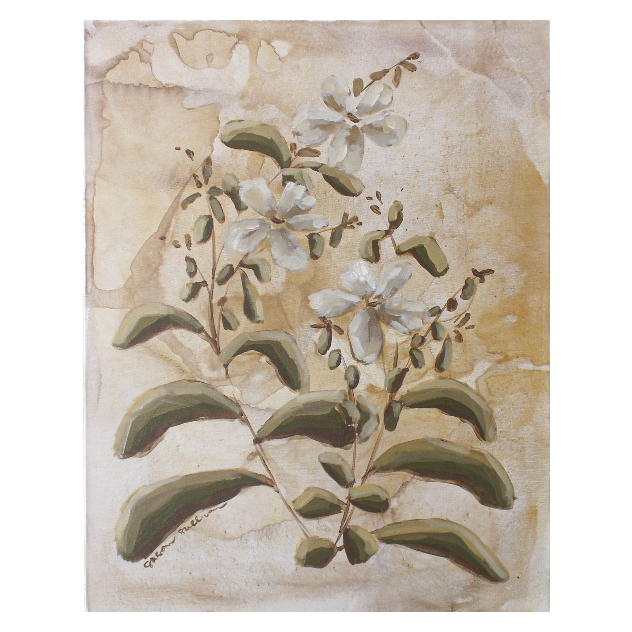 Untitled design - 2.png