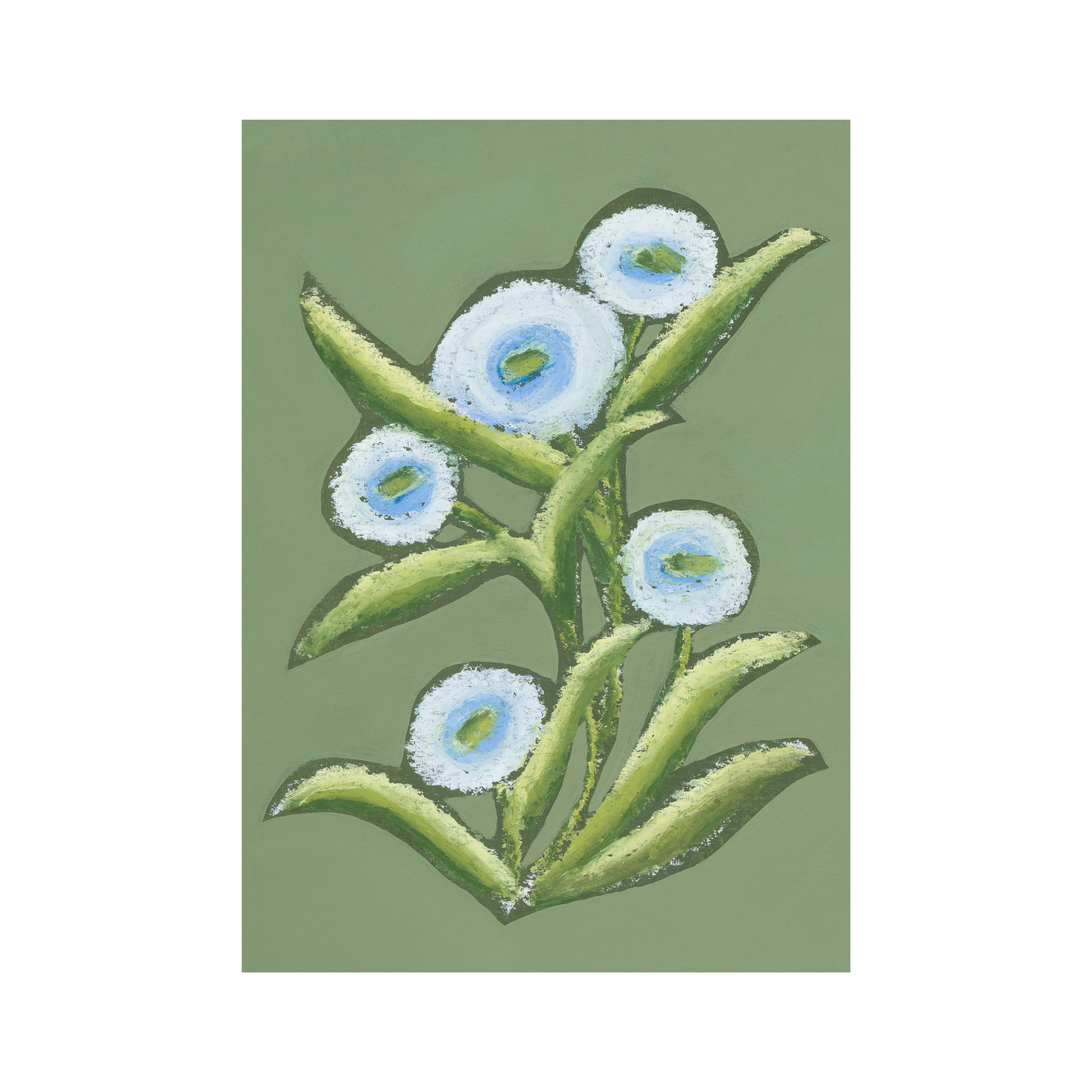 Growing Wild Olive