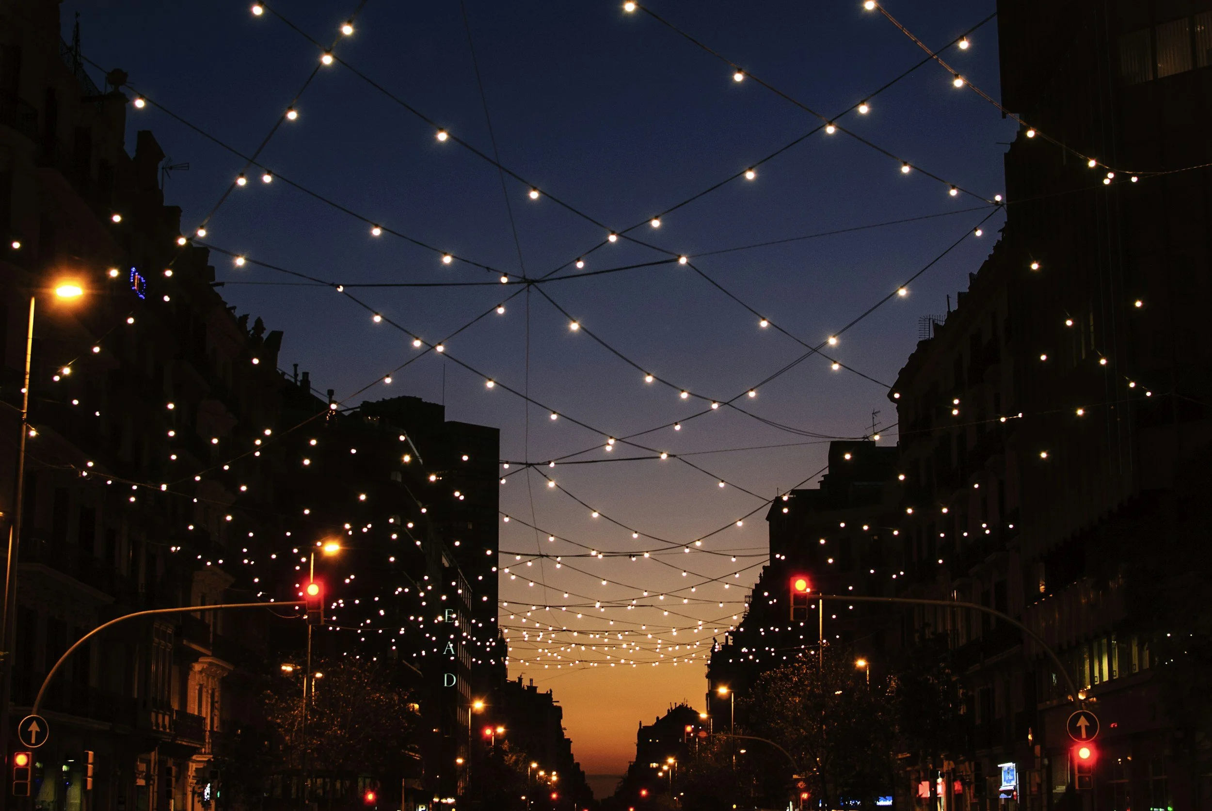 Interconnectedness of Looking up through a dense bamboo forest with sunlight filtering through the green leaves and tall bamboo stalks.