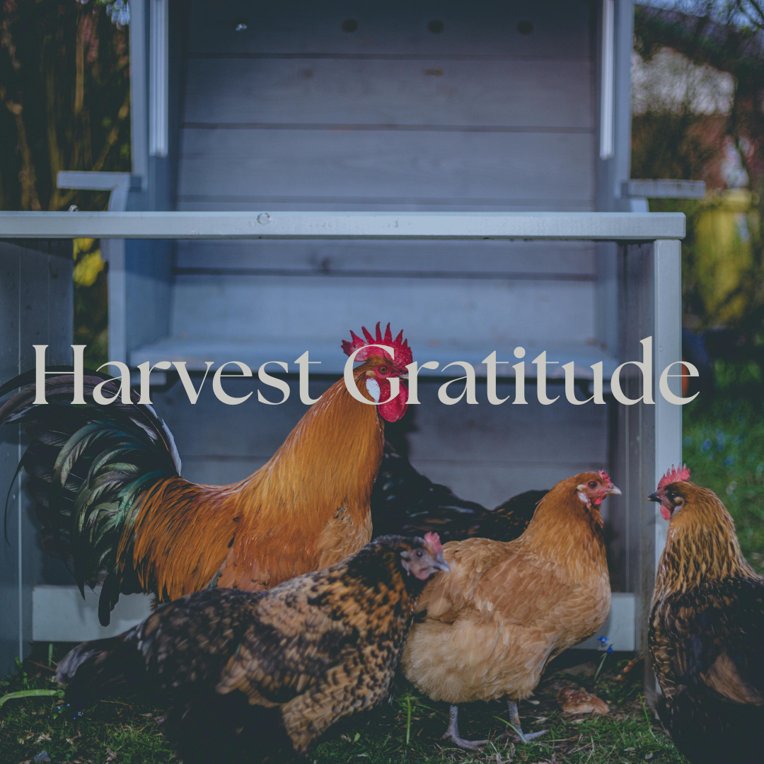 Gratitude .png
