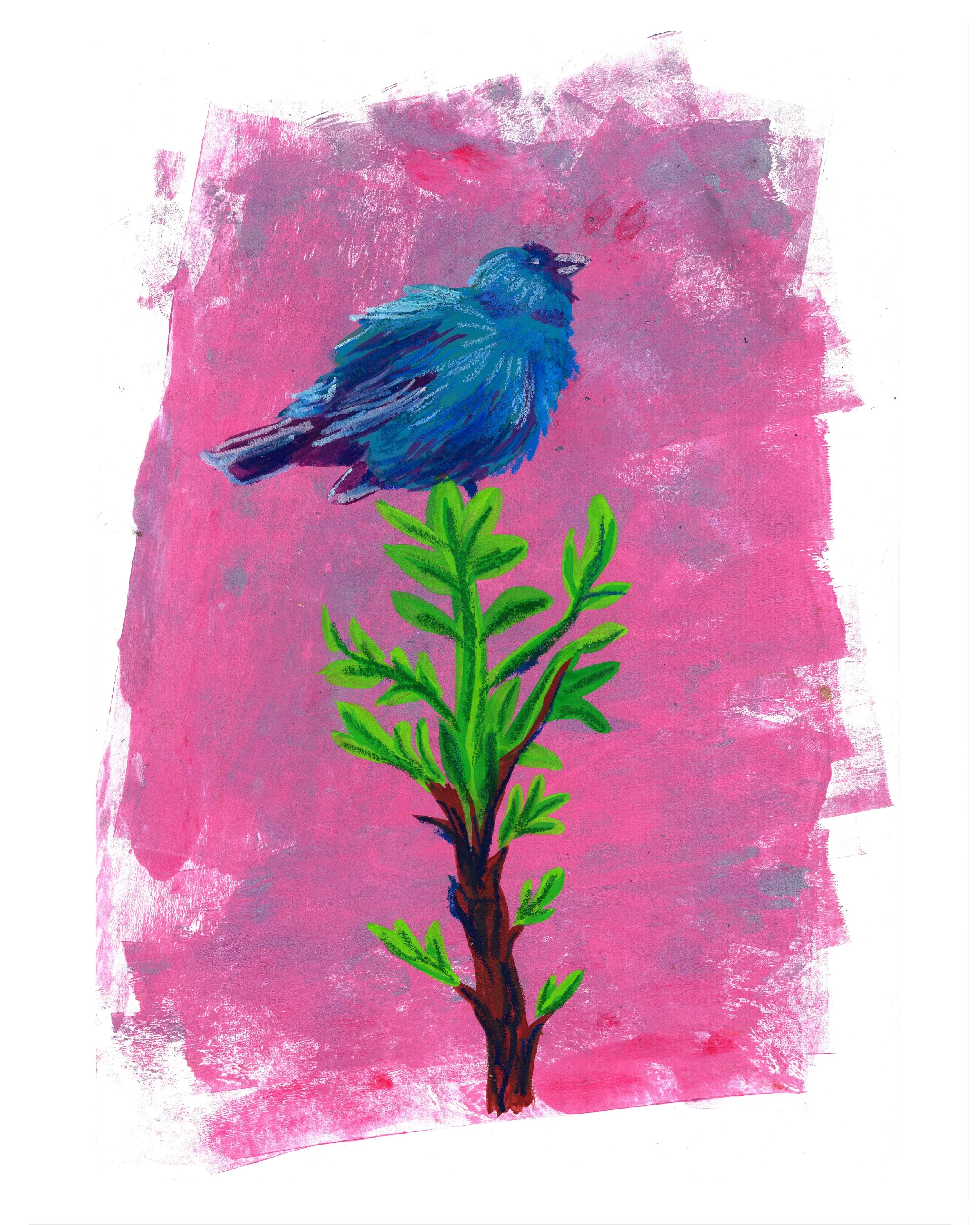 Indigo Bunting
