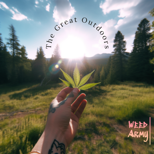 My project-1 (ddddd2).png