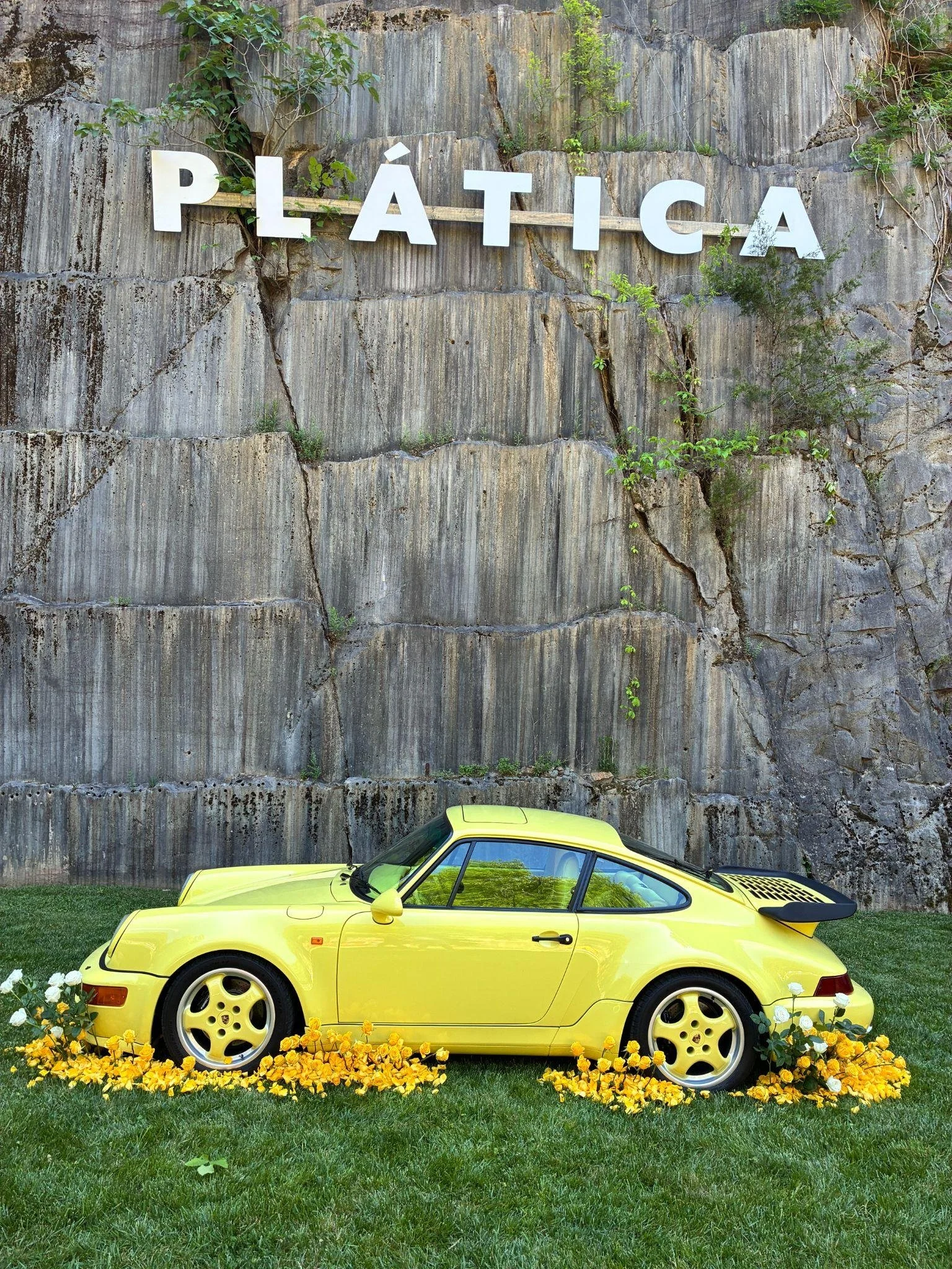 Attending Plastica