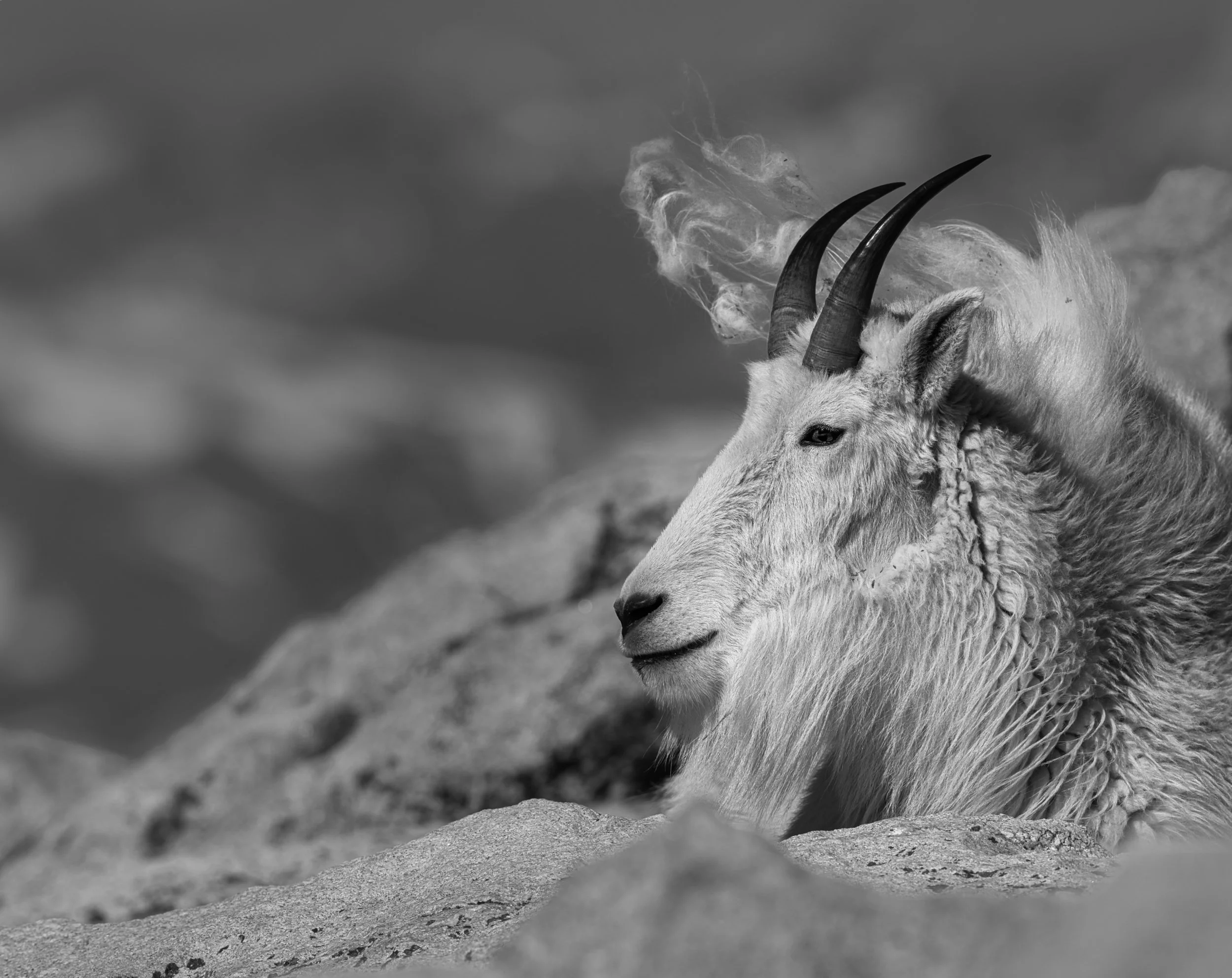 _DSC2734_2.jpeg