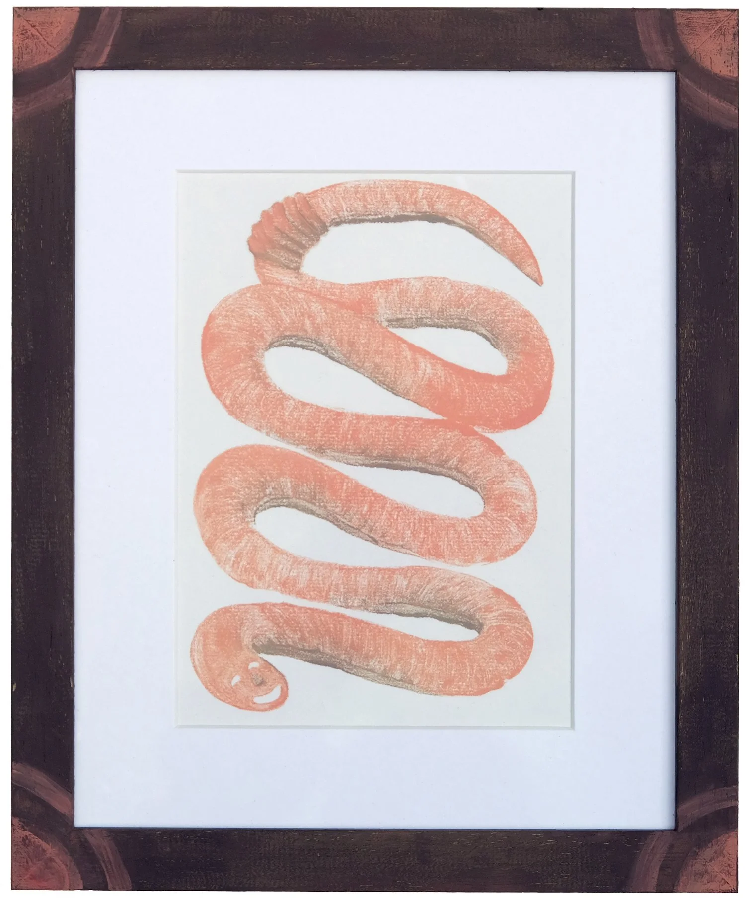 The Long, Long Worm II. Rachel Snowdon, 2026