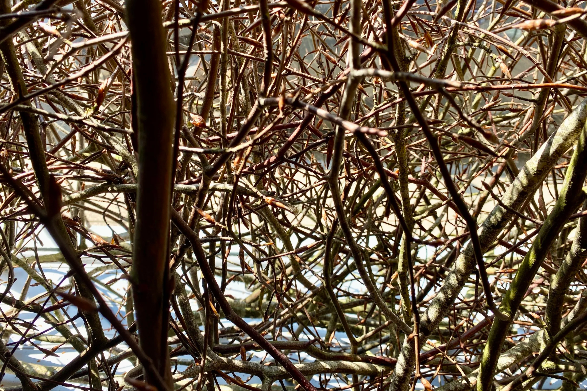Autumn Equinox: Calling the Forgotten Home (At Field System and East Quay Watchet)