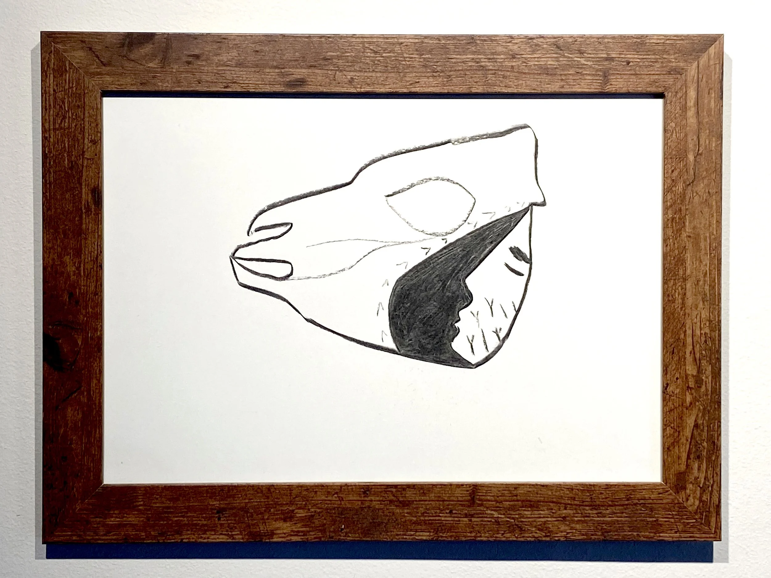 IMG_3391.jpeg