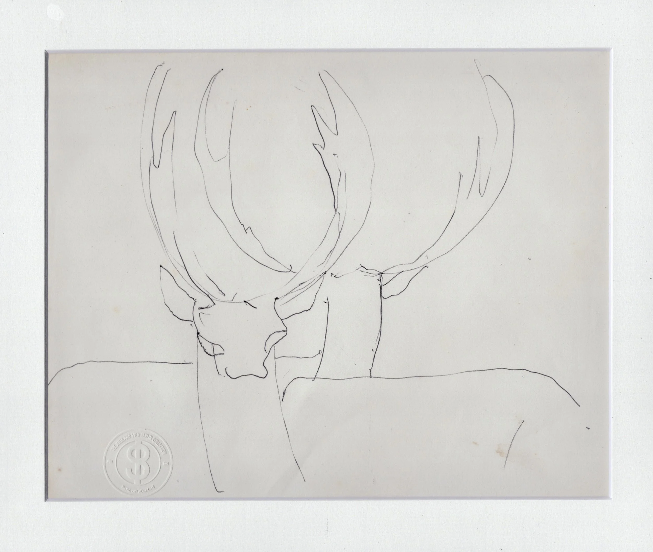 Image_20260209_0001 (3).jpg