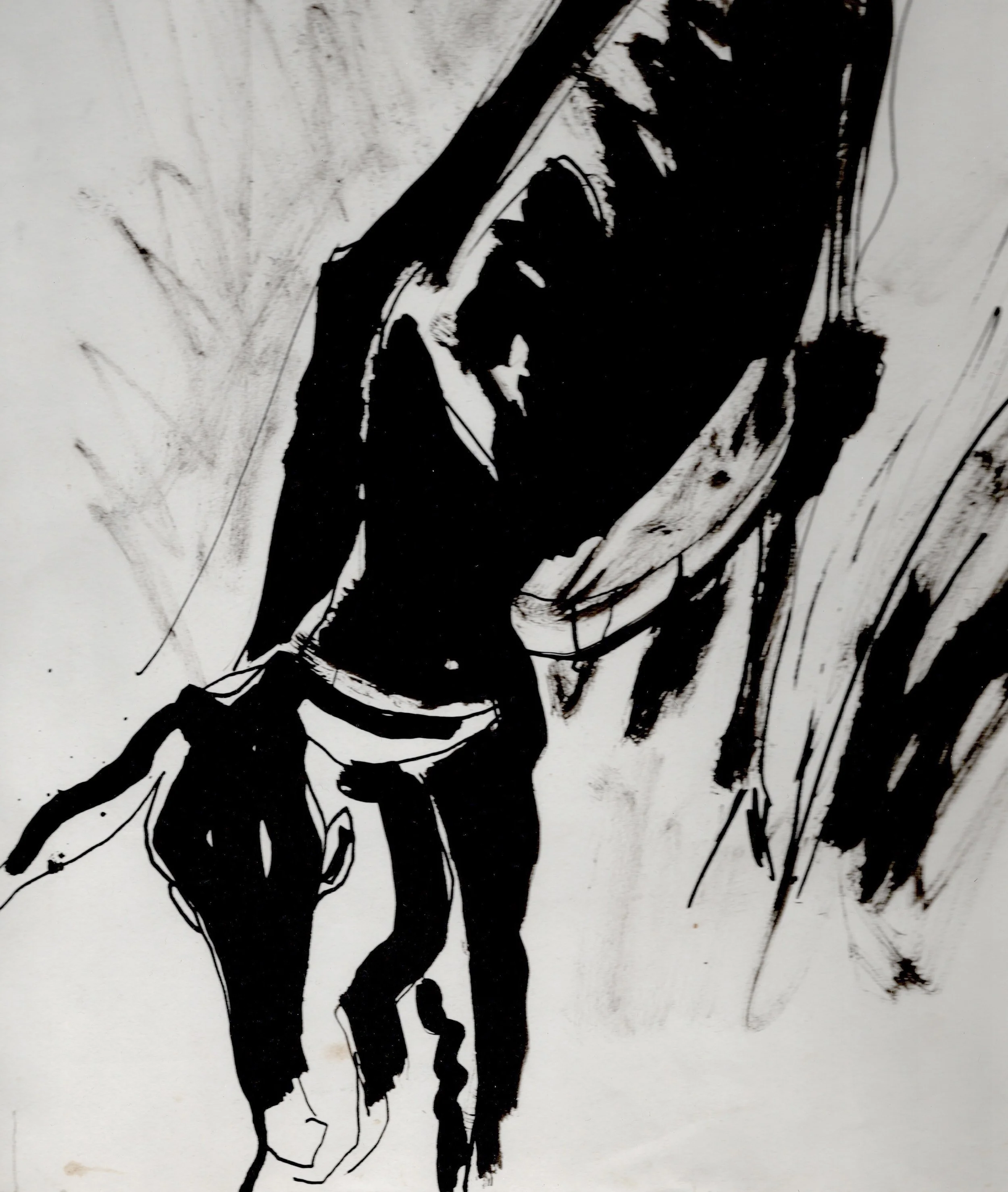 Extra Large Portrait Original Mounted Drawing by Sven Berlin- Goat