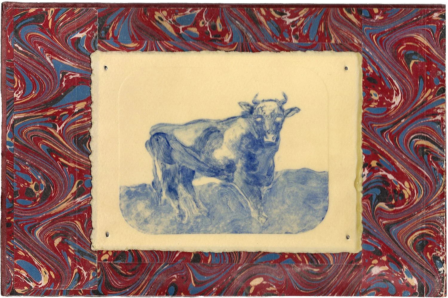 Eclipse. Rachel Snowdon, 2026 (Copy)’Tis Well That Wicked Cows Have Short Horns. Rachel Snowdon, 2026