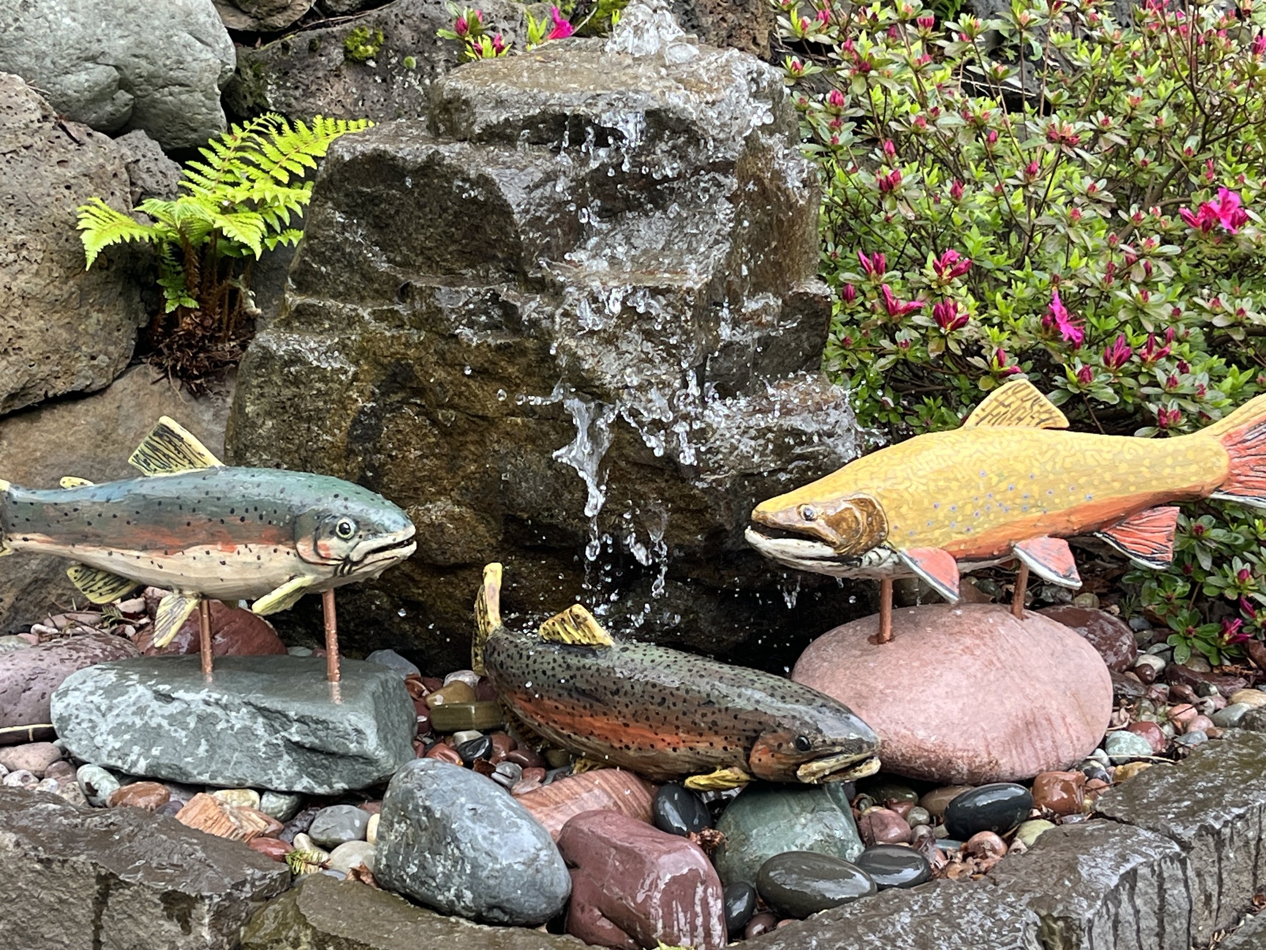 Fish in fountian.JPG