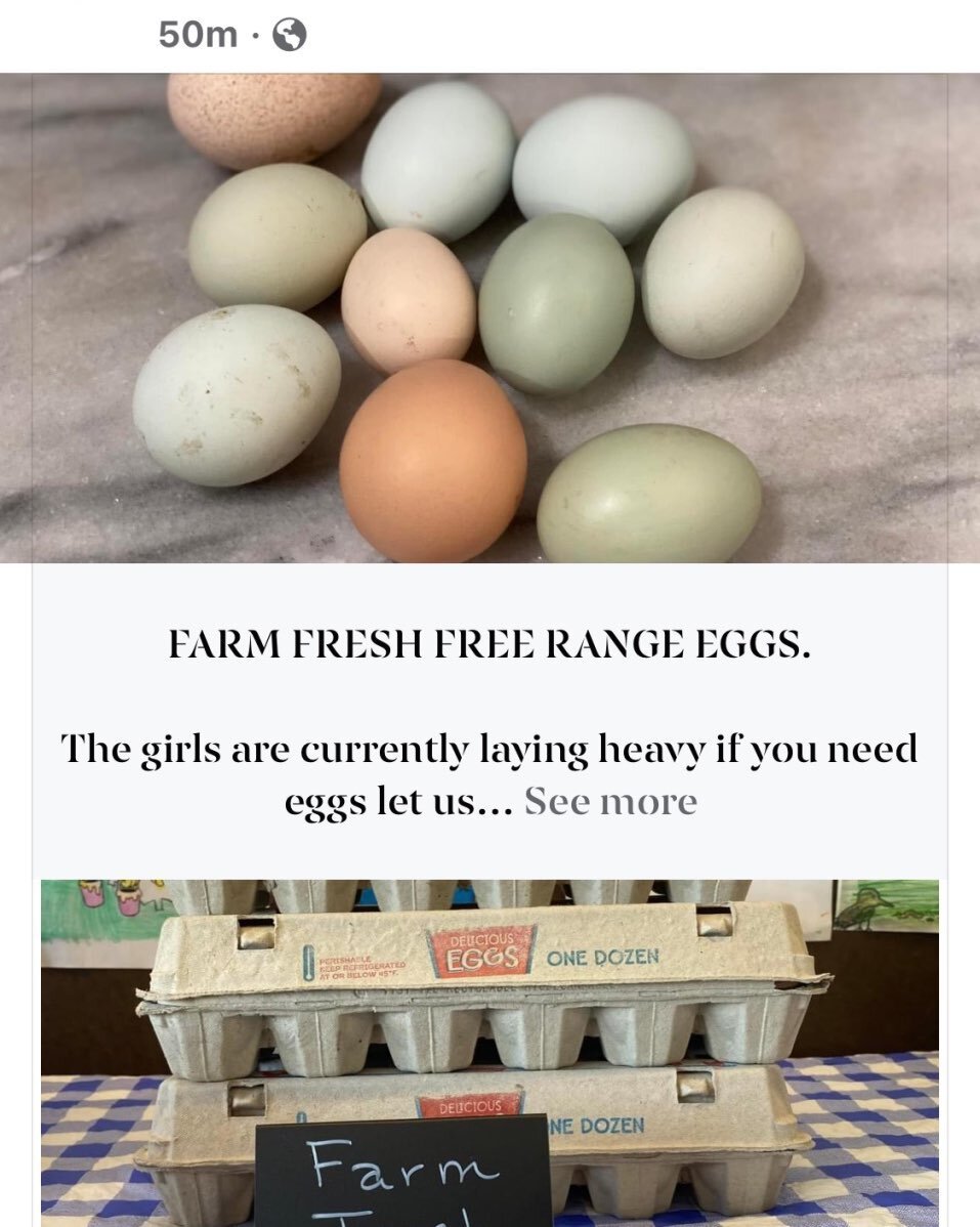 Farm fresh, free range eggs currently available.  The girls are laying heavy, let is know if you are needing eggs. $5/dz.