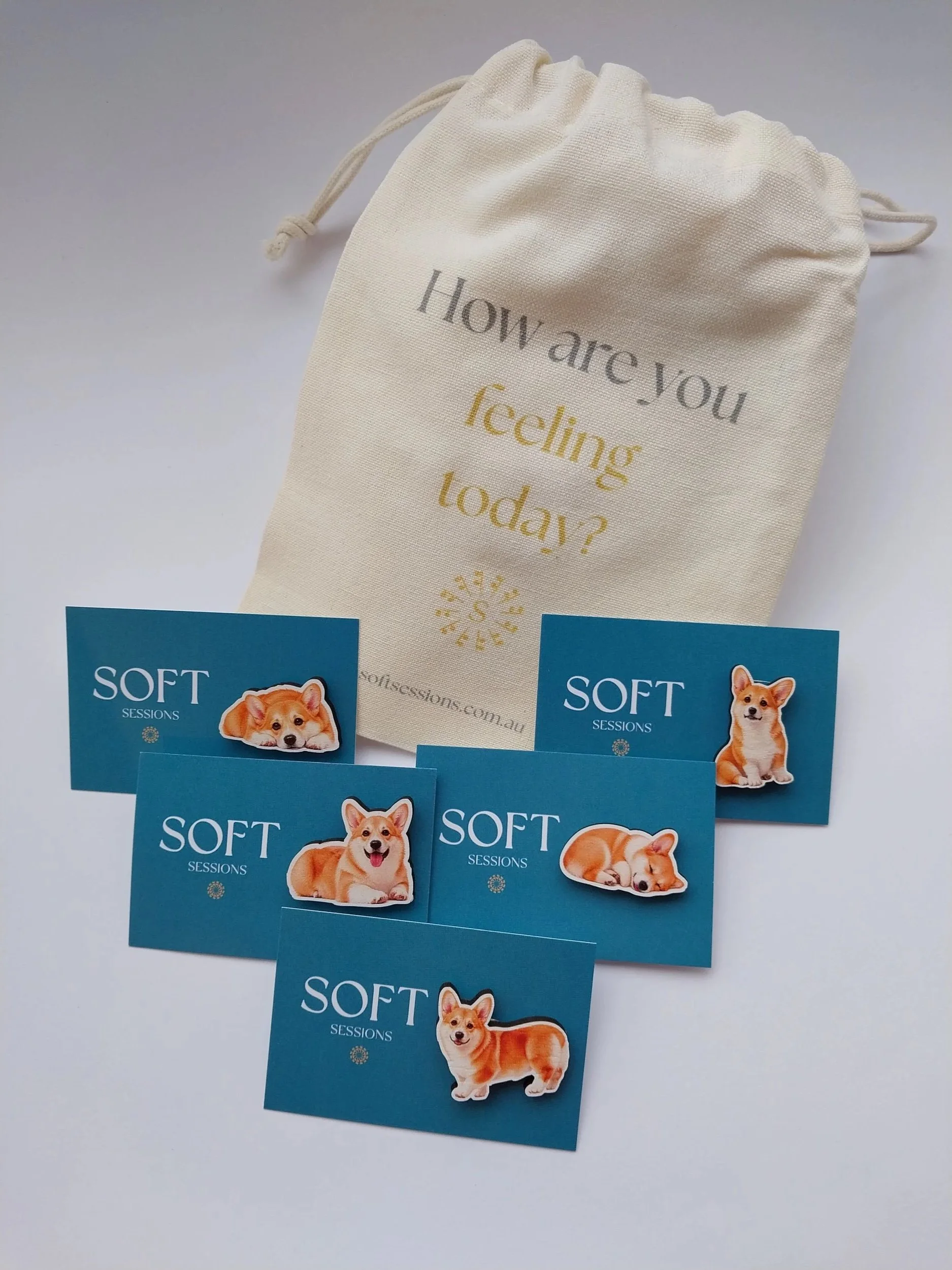 Corgi Scale pin set