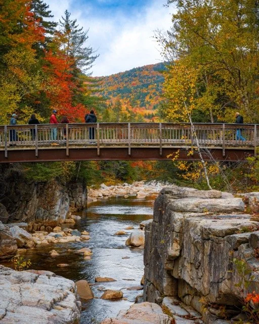 DSC05639 Medium.jpeg