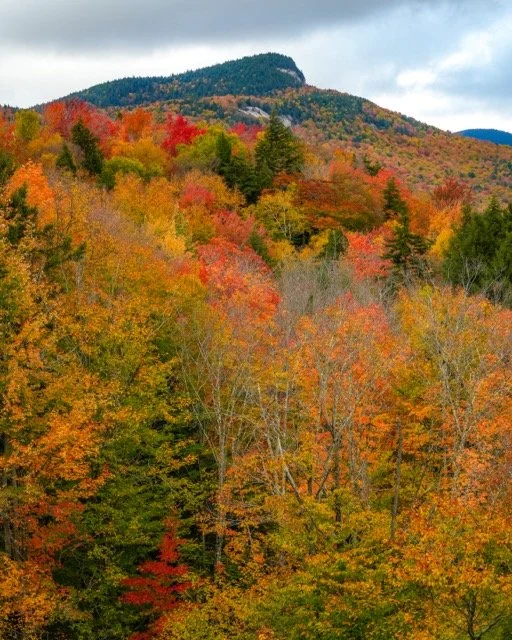 DSC05686 Medium.jpeg