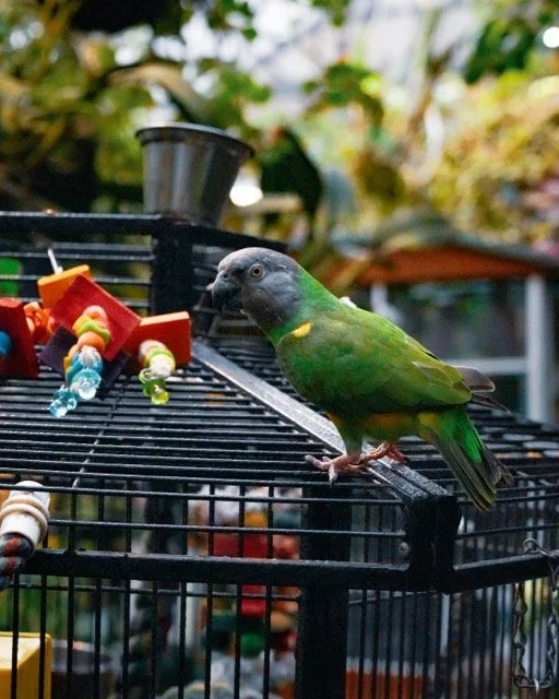 IMG_2277 Medium.jpeg