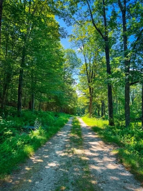 IMG_1644 Medium.jpeg