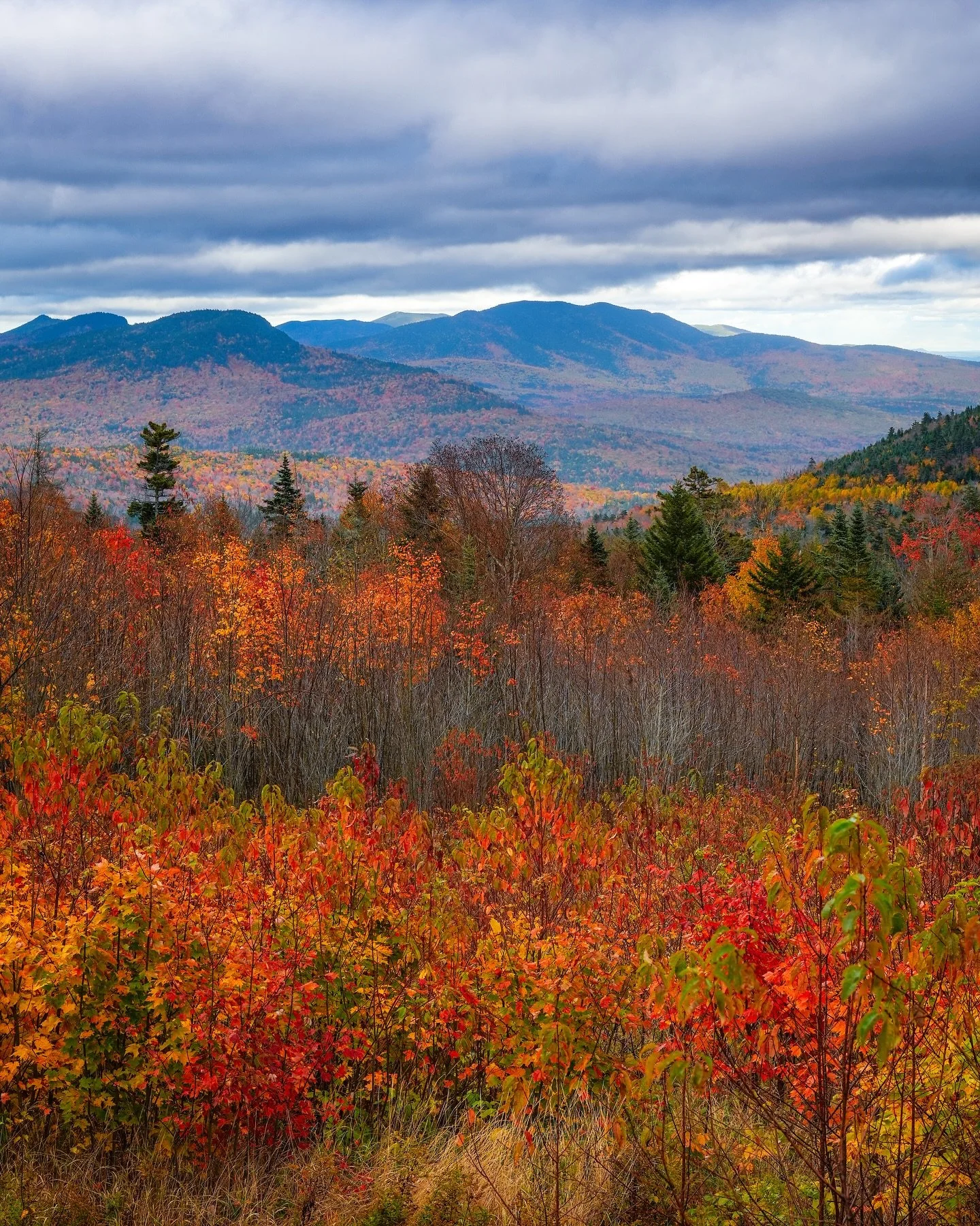 It&rsquo;s starting to look a lot like fall out there!

The leaves are starting to change colors across New England and it&rsquo;s the perfect time for a fall road trip! 🍁🛻

While I won&rsquo;t officially be starting my fall foliage road trips unti
